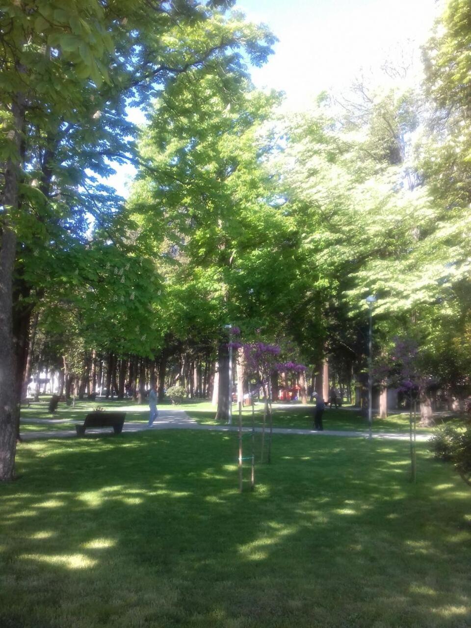 Photo 38