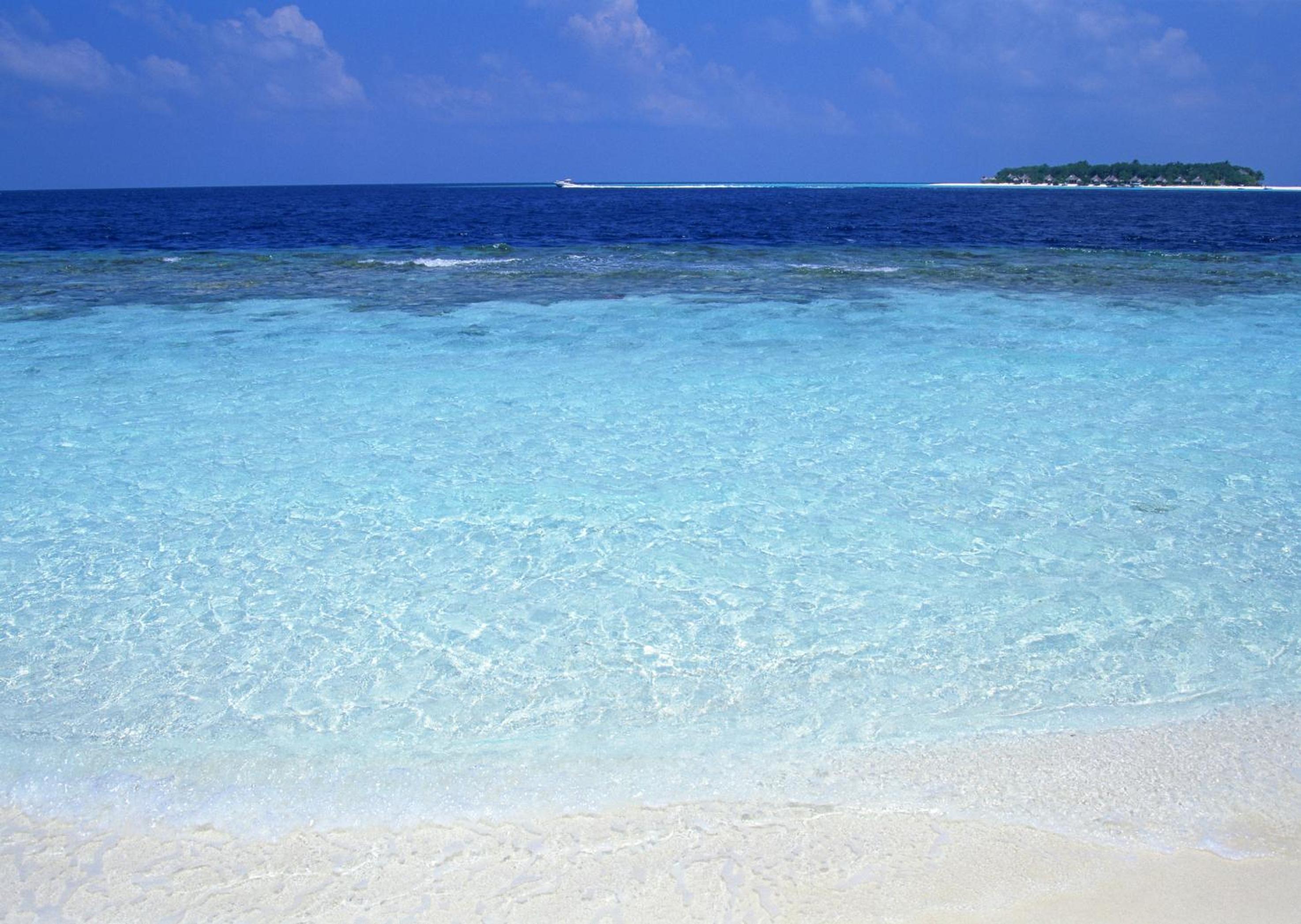 Petit Resort Native Sea Amami