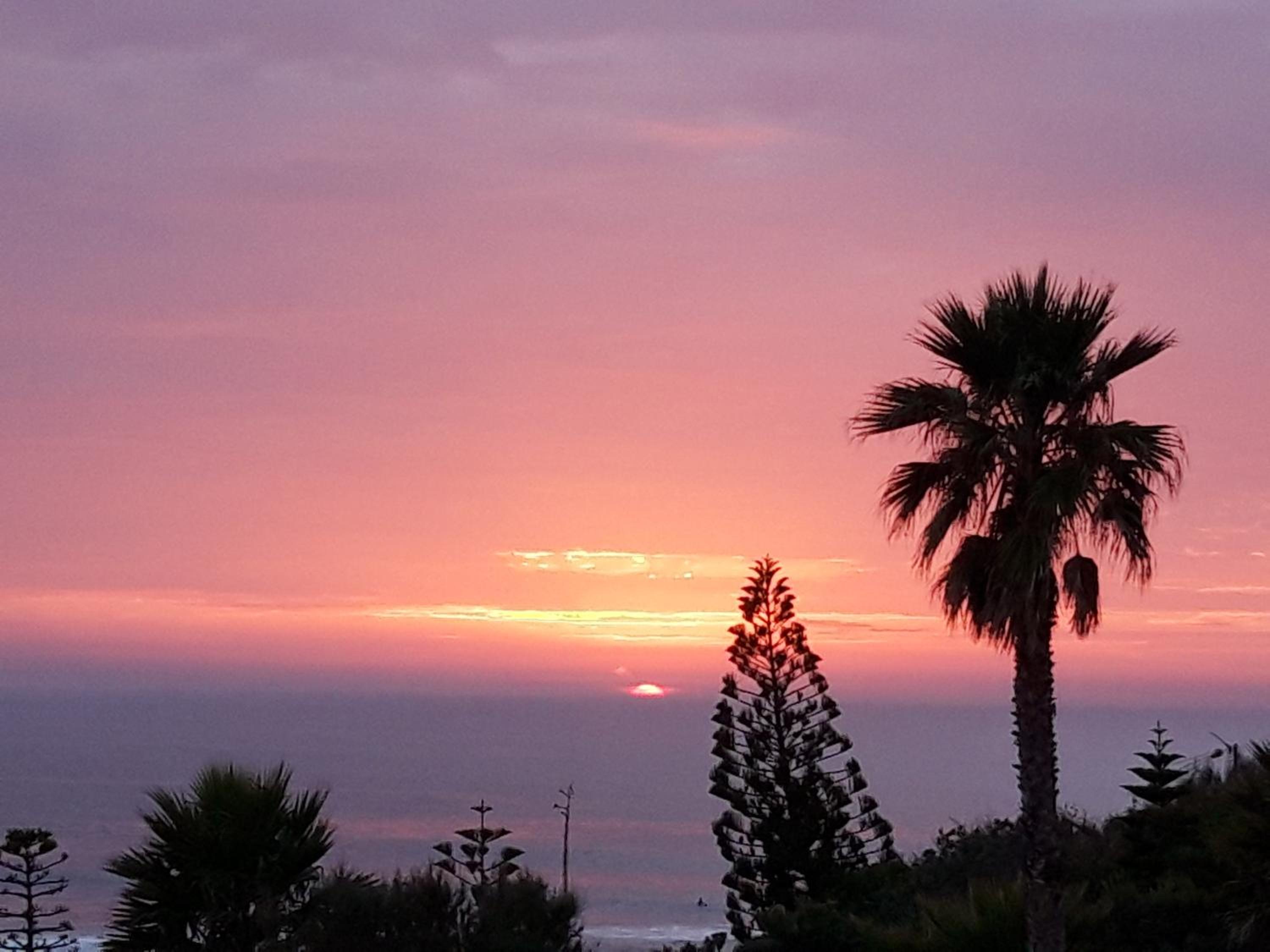 Ericeira Vibes