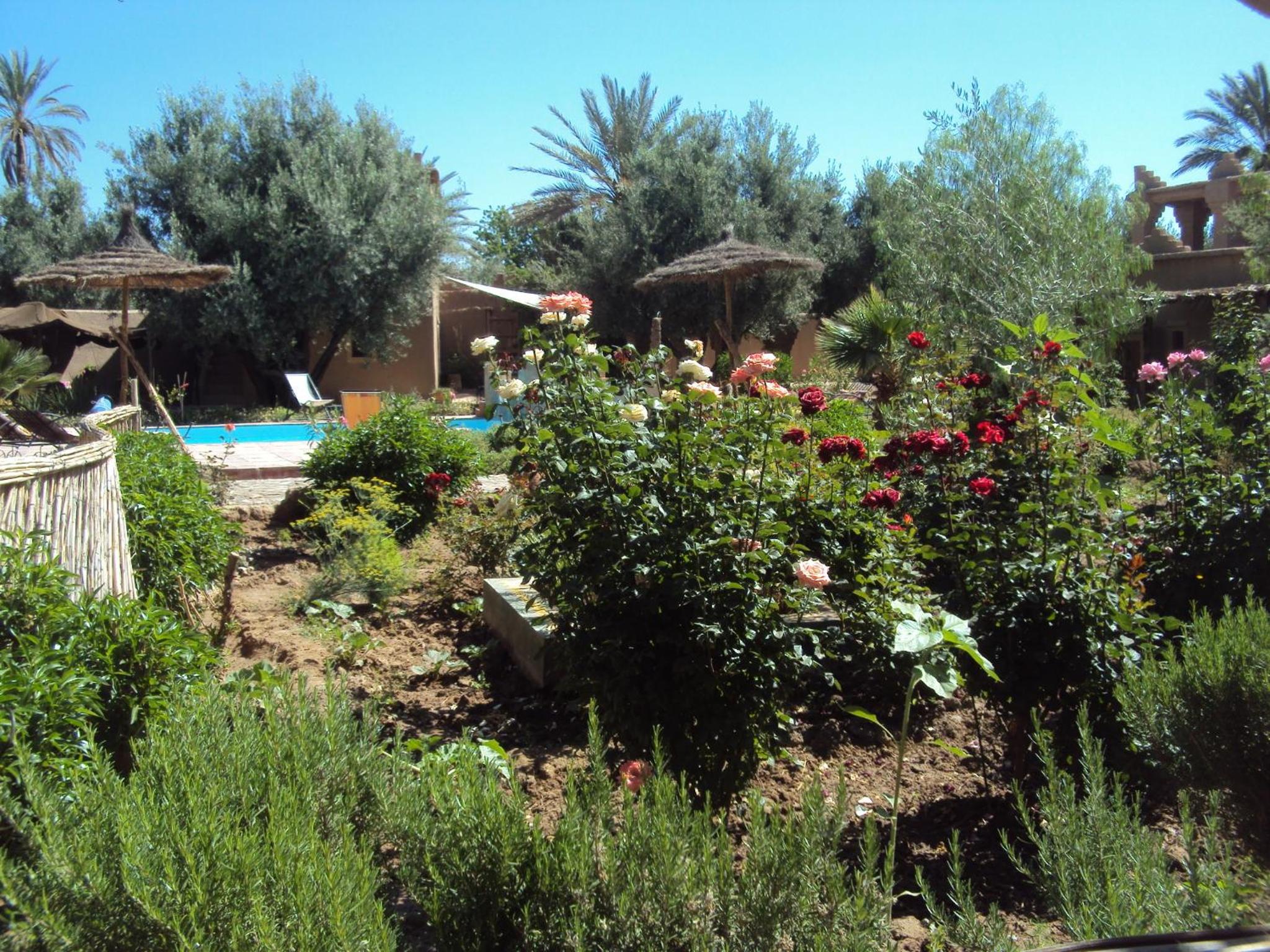 Dar Lorkam