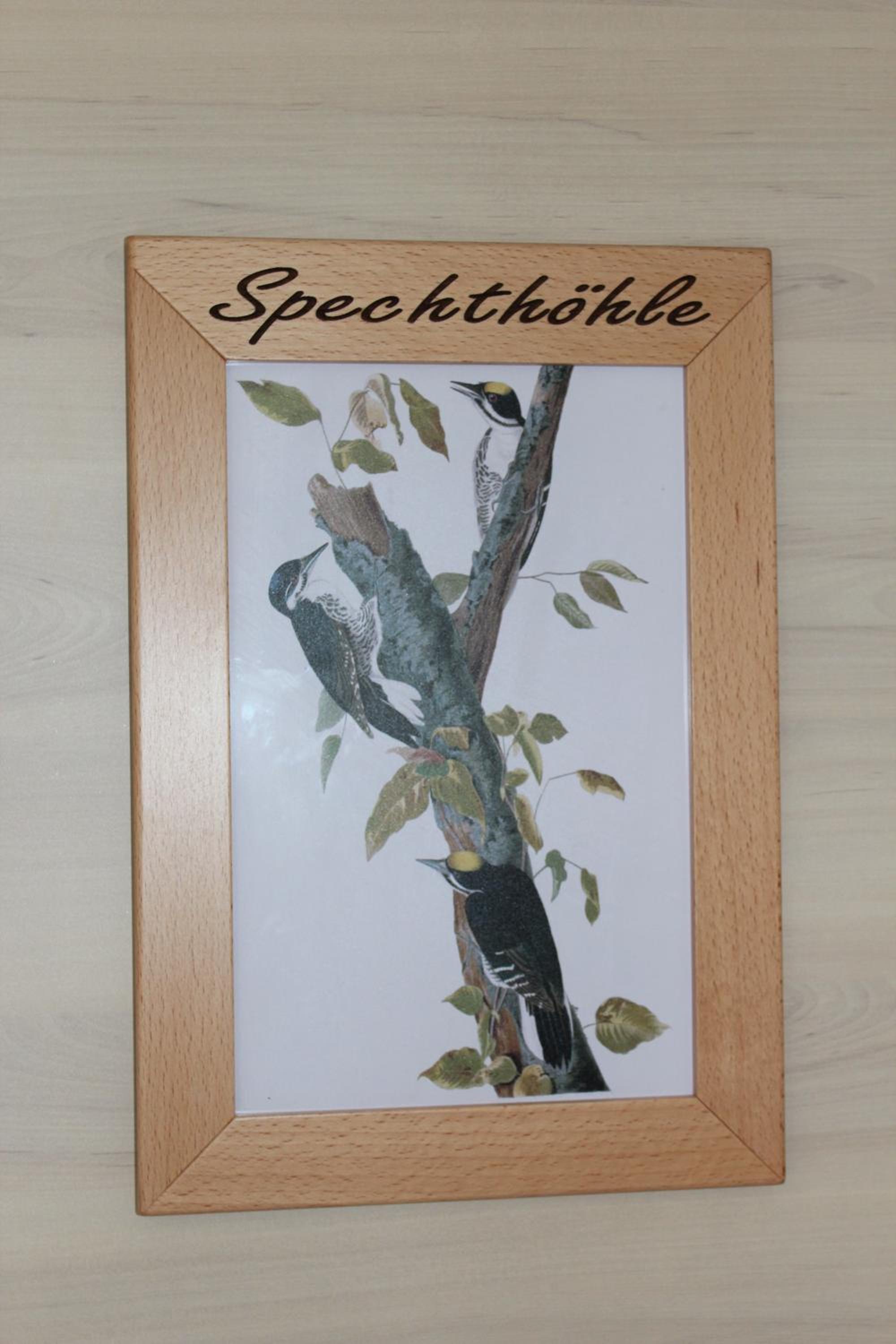 Photo 46
