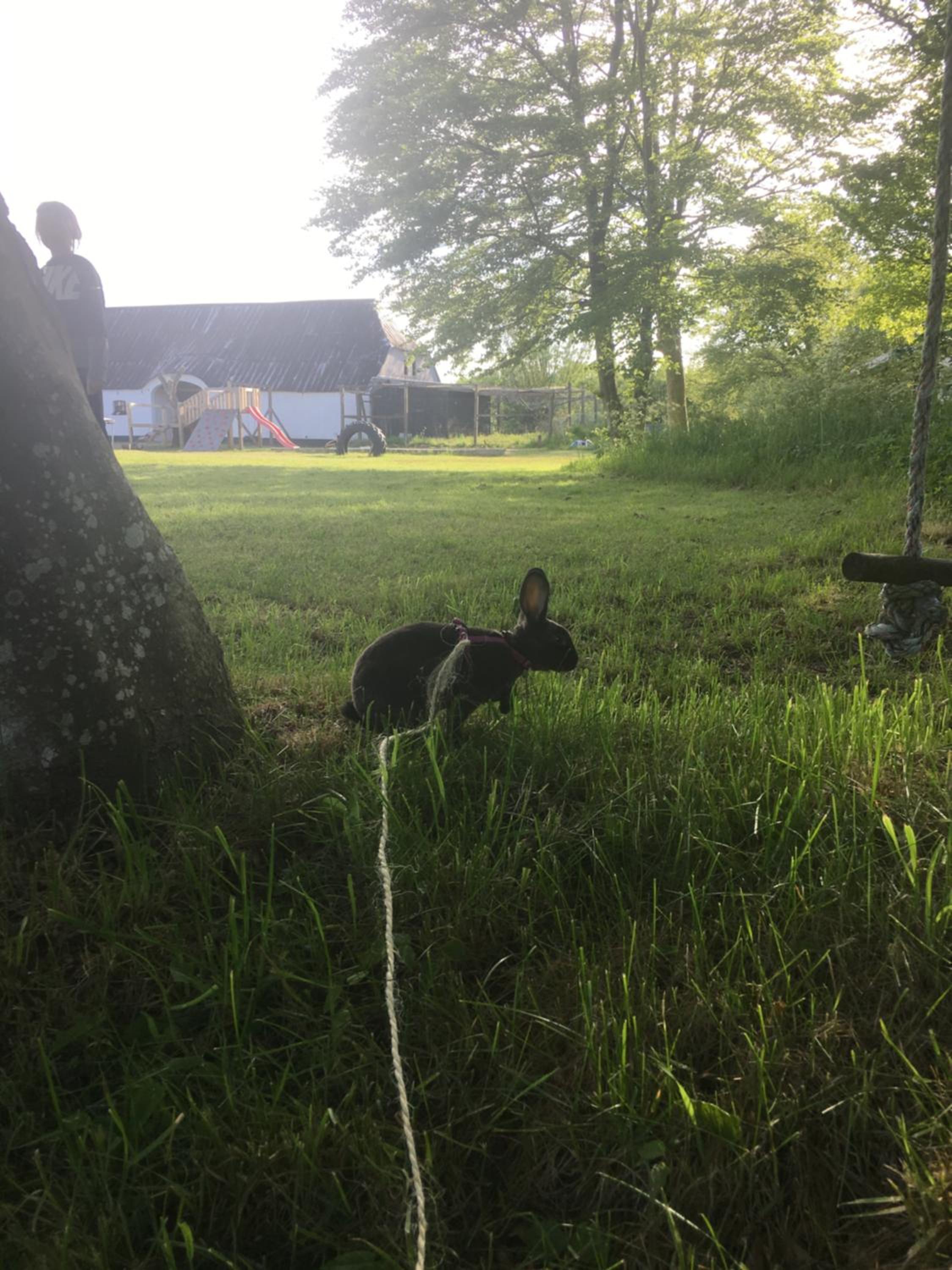 Photo 31