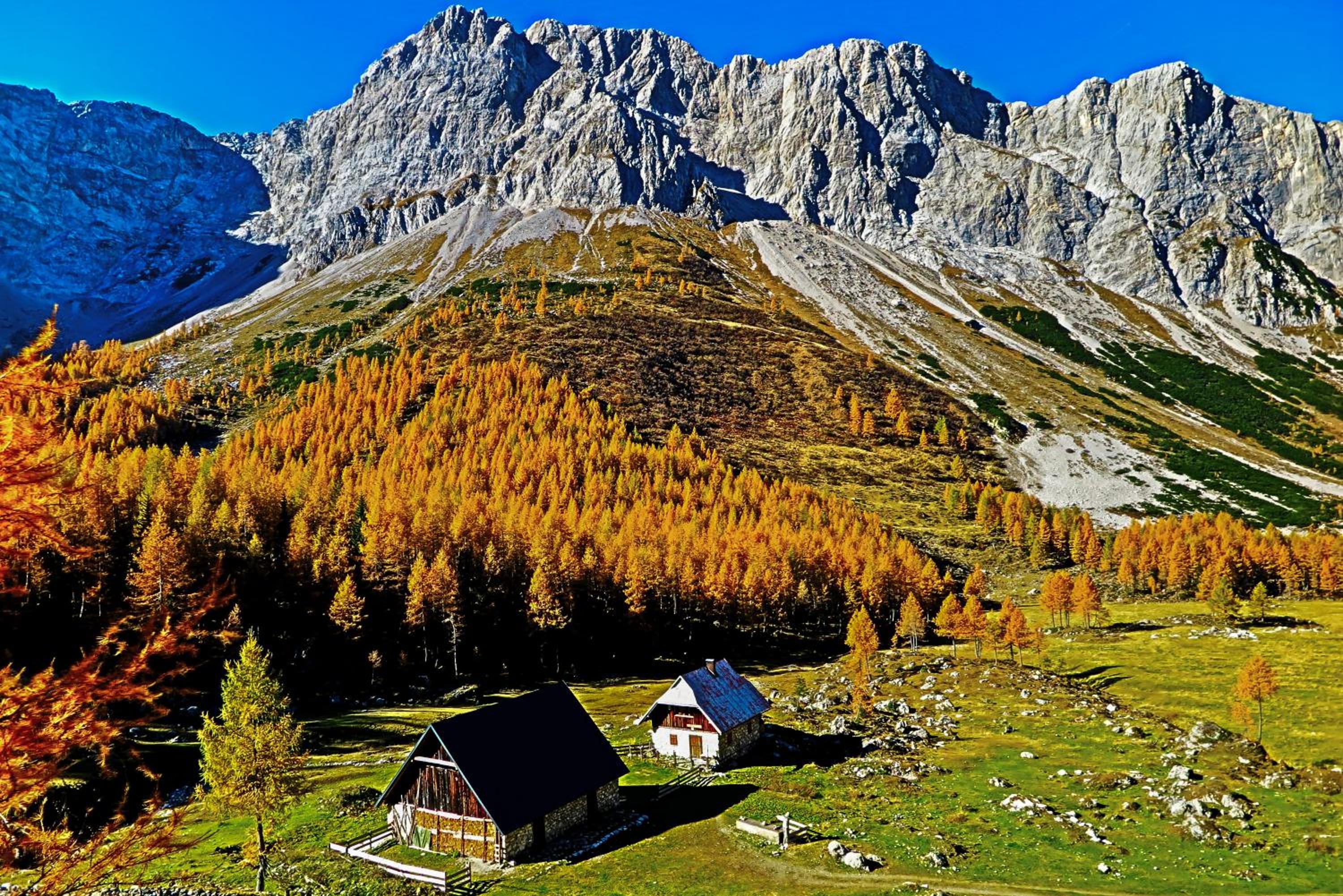 Apartments Bergblick