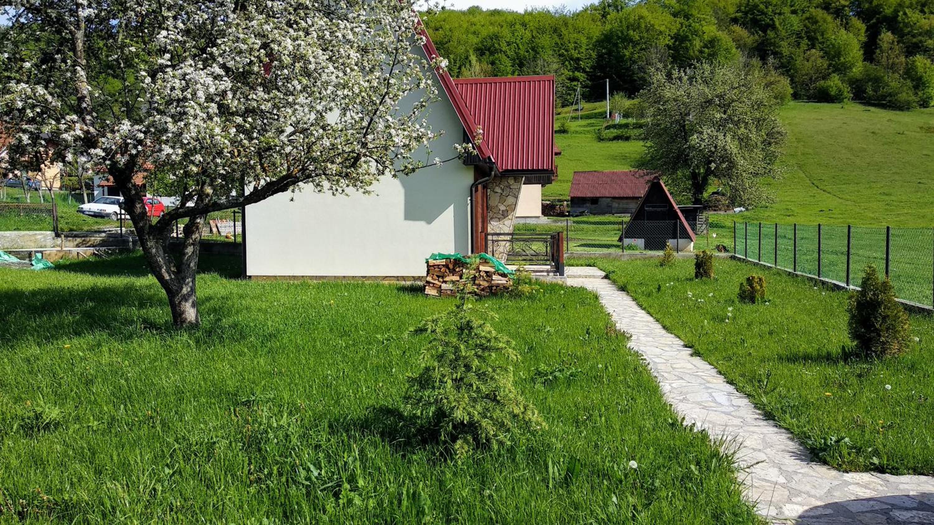 Photo 25