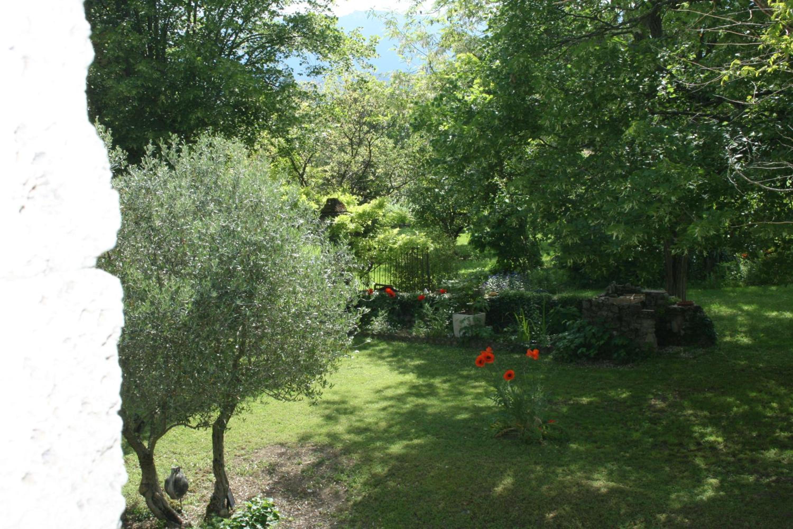 Photo 22