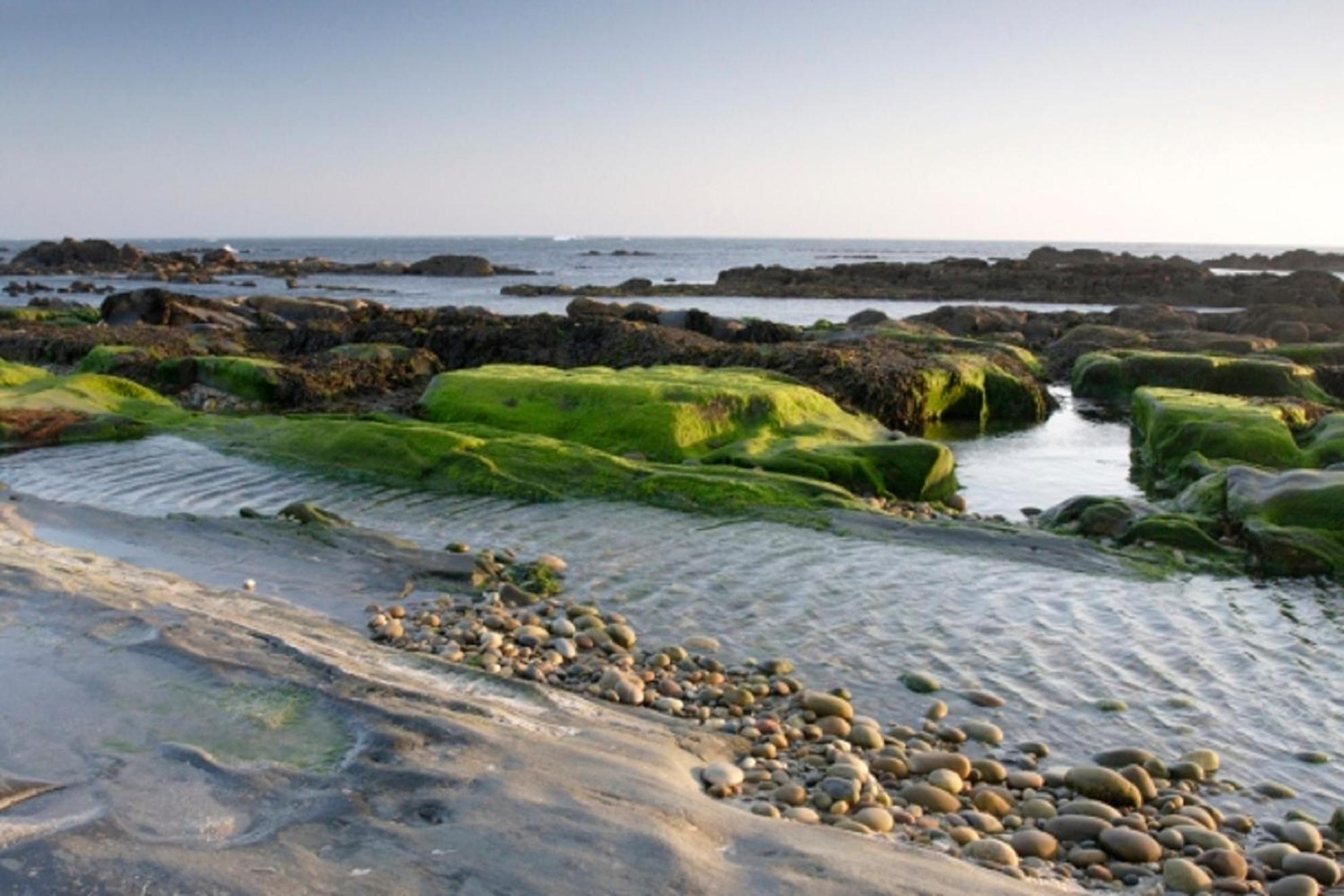 Family Beach House in Amorosa, Northern Portugal view 4