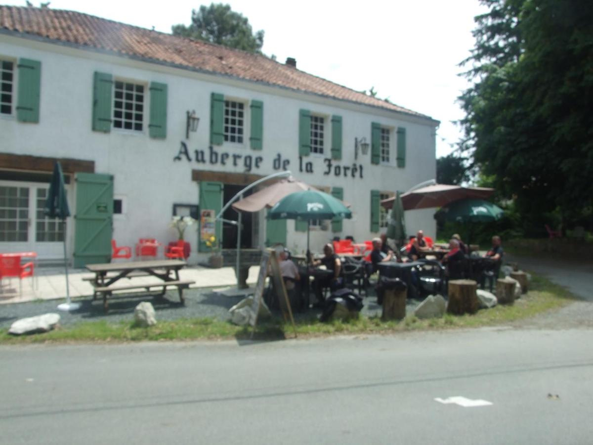 Photo 7