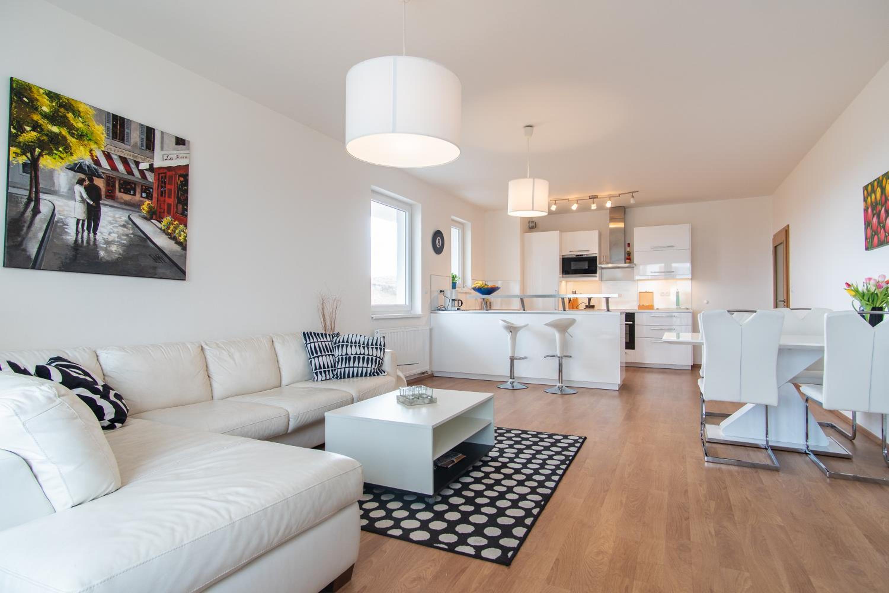 Spacious 3- rooms appartment with two terraces