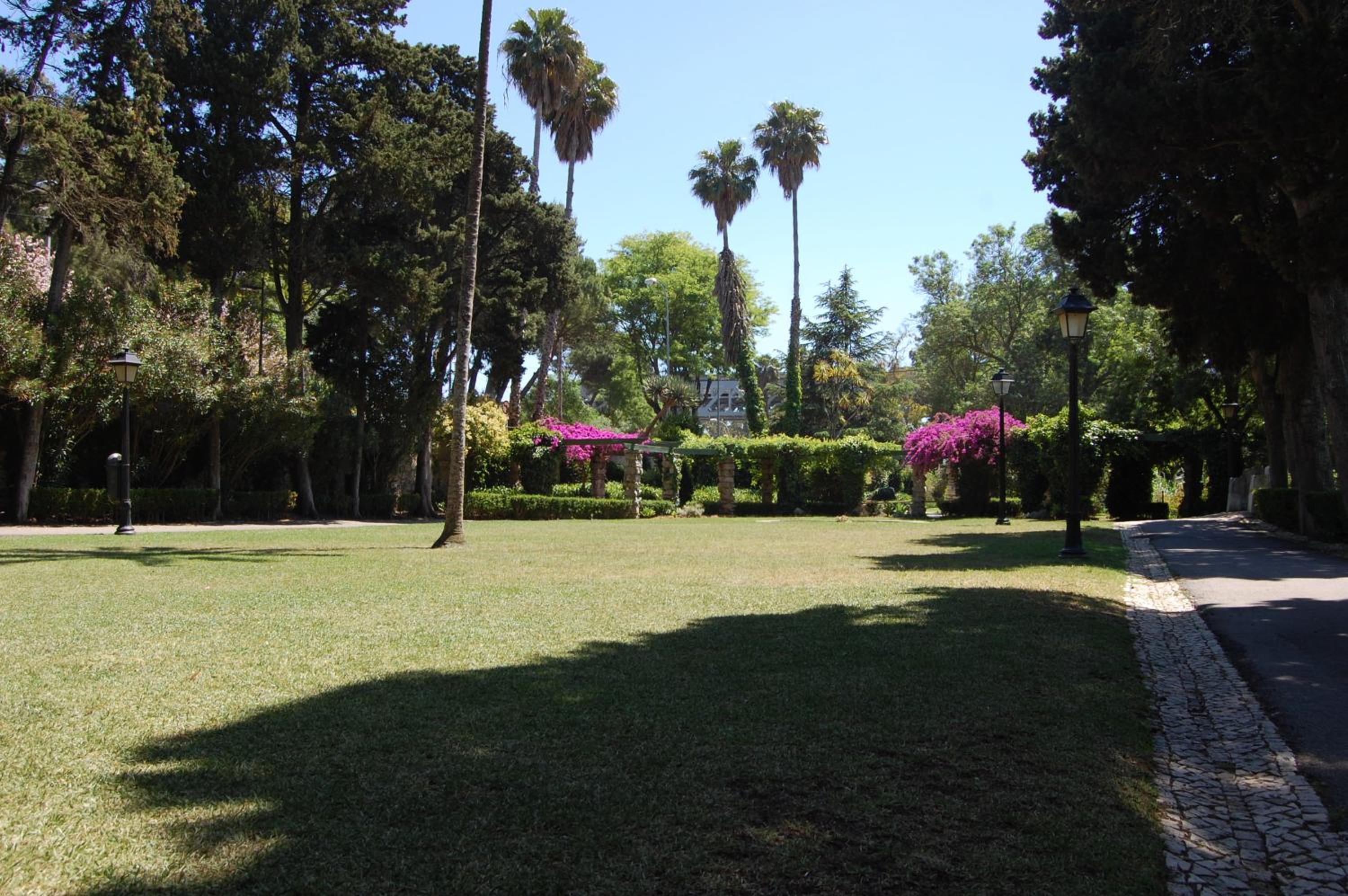 Photo 30