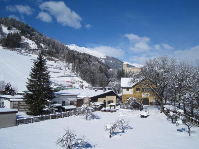 Photo 45