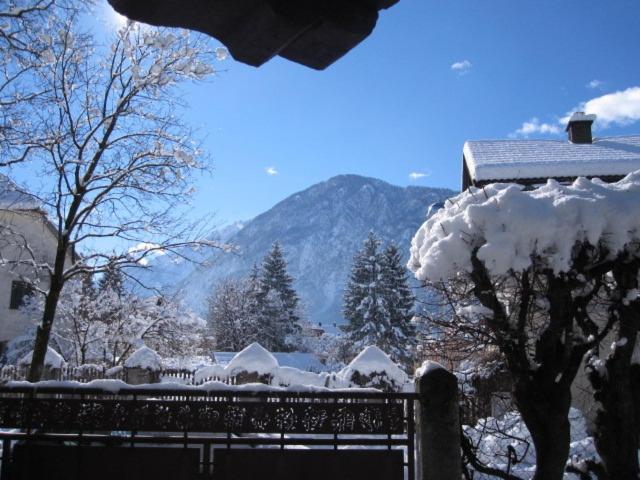 Photo 49