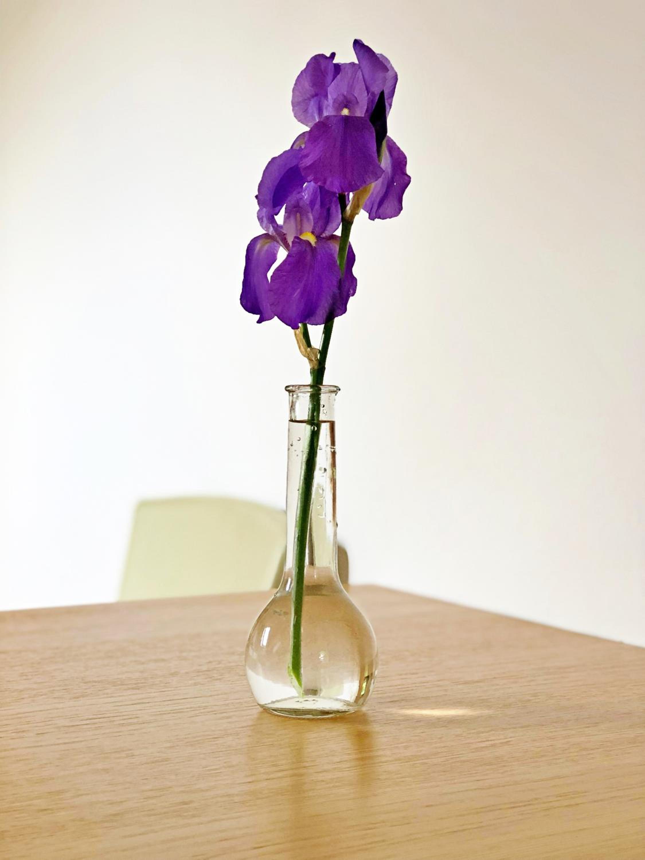 Photo 22