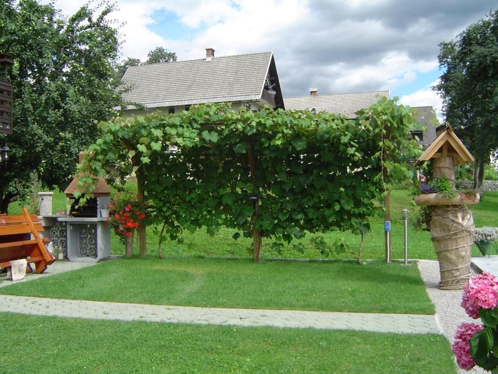 Photo 34