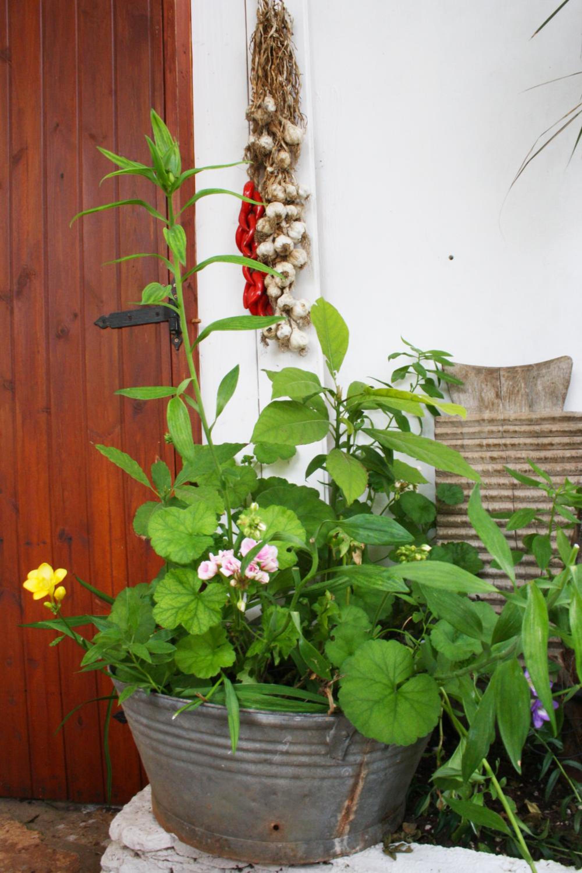 Photo 31