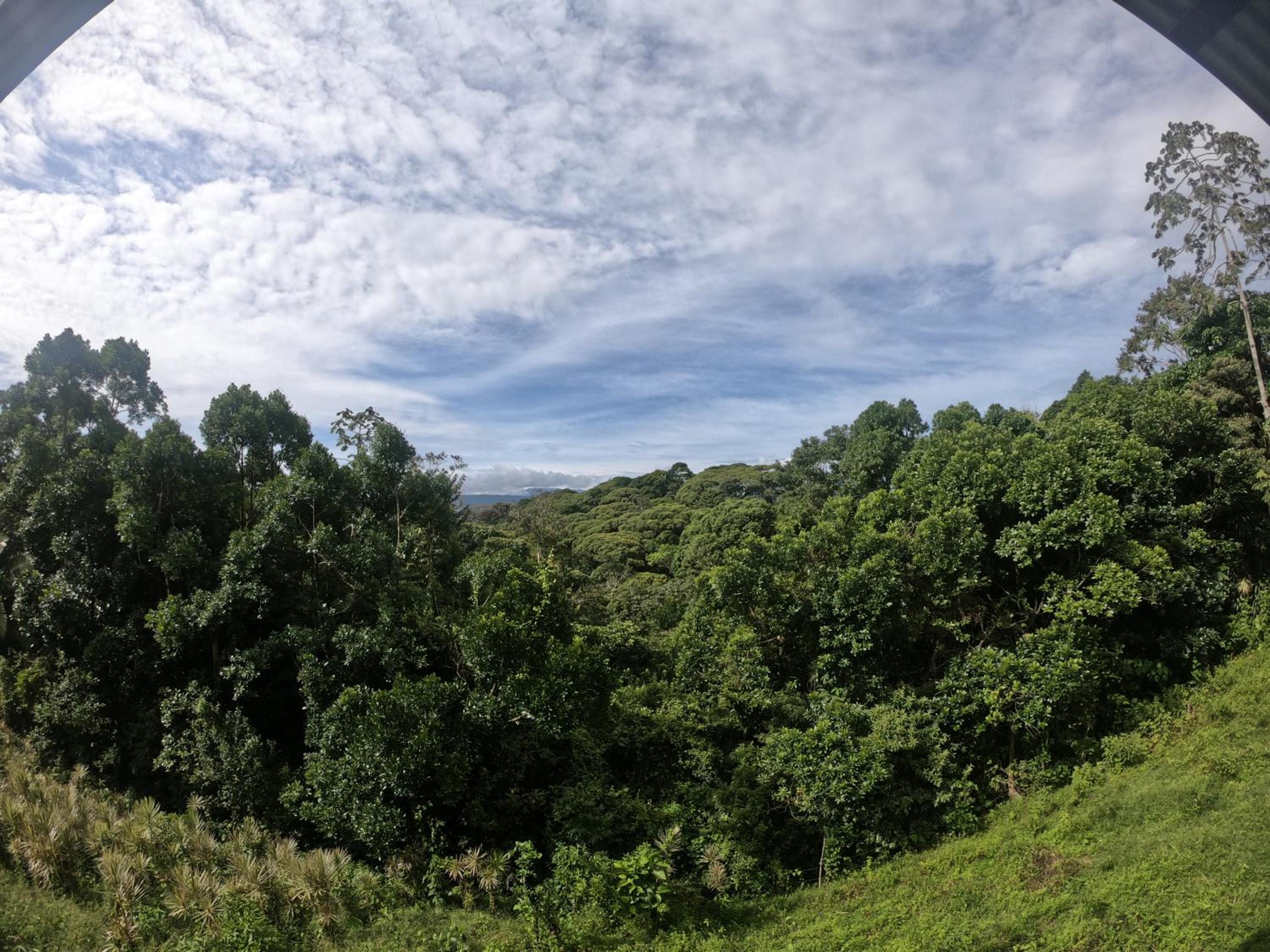 Eco Guest House - Sarapiquí 1