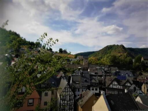 Zum fröhlichen Weinberg view 4