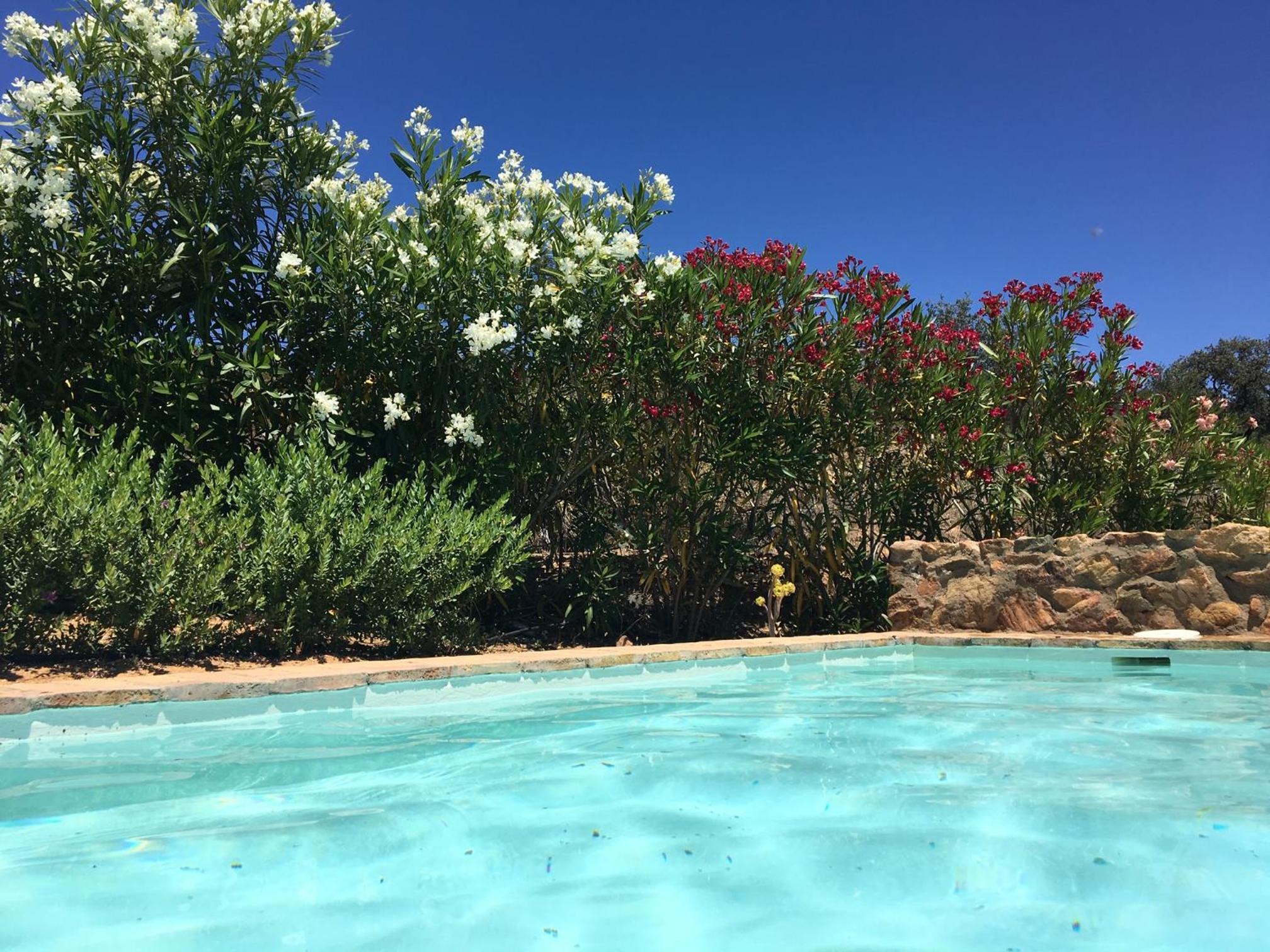 Casa Rural La Alcornocosa