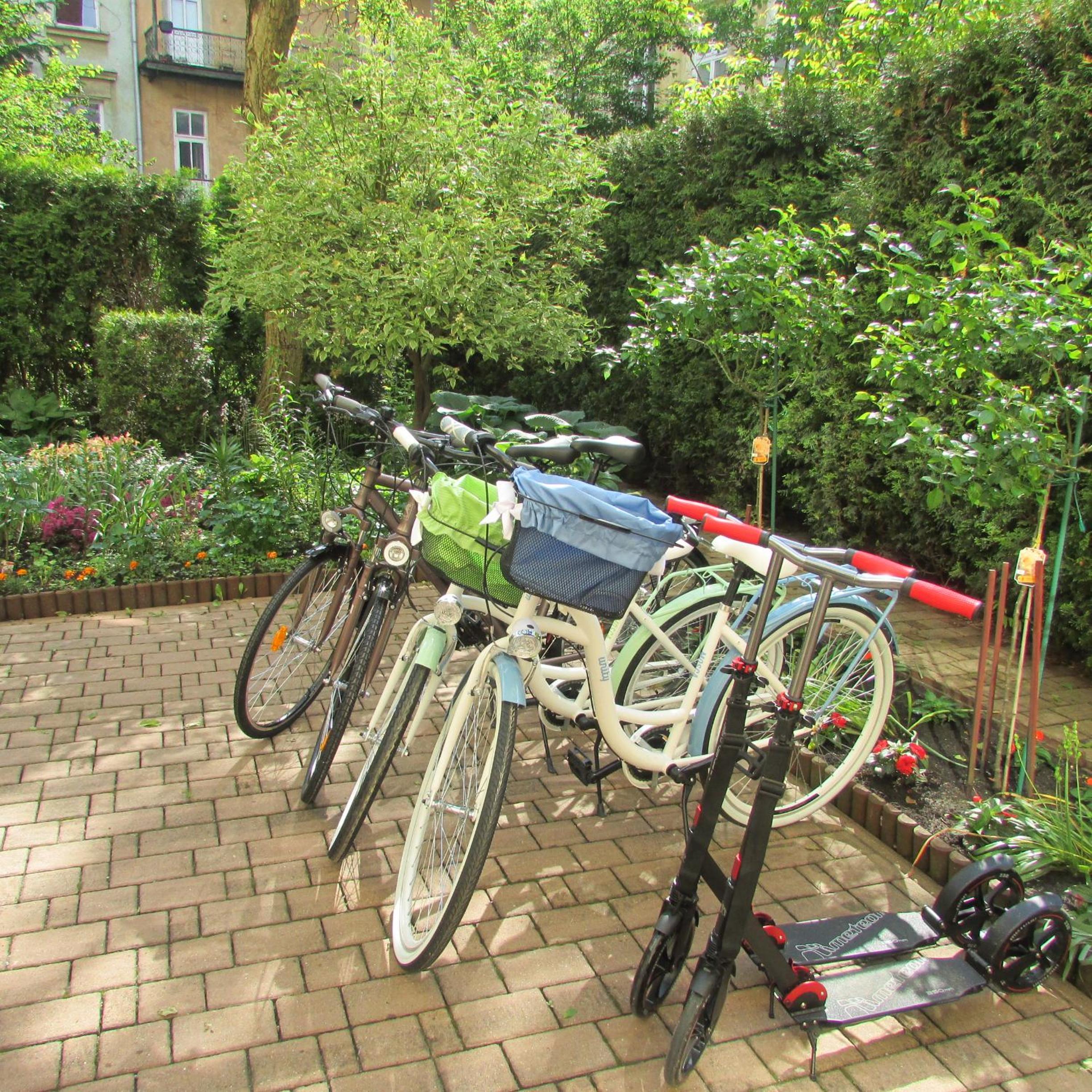 Photo 38