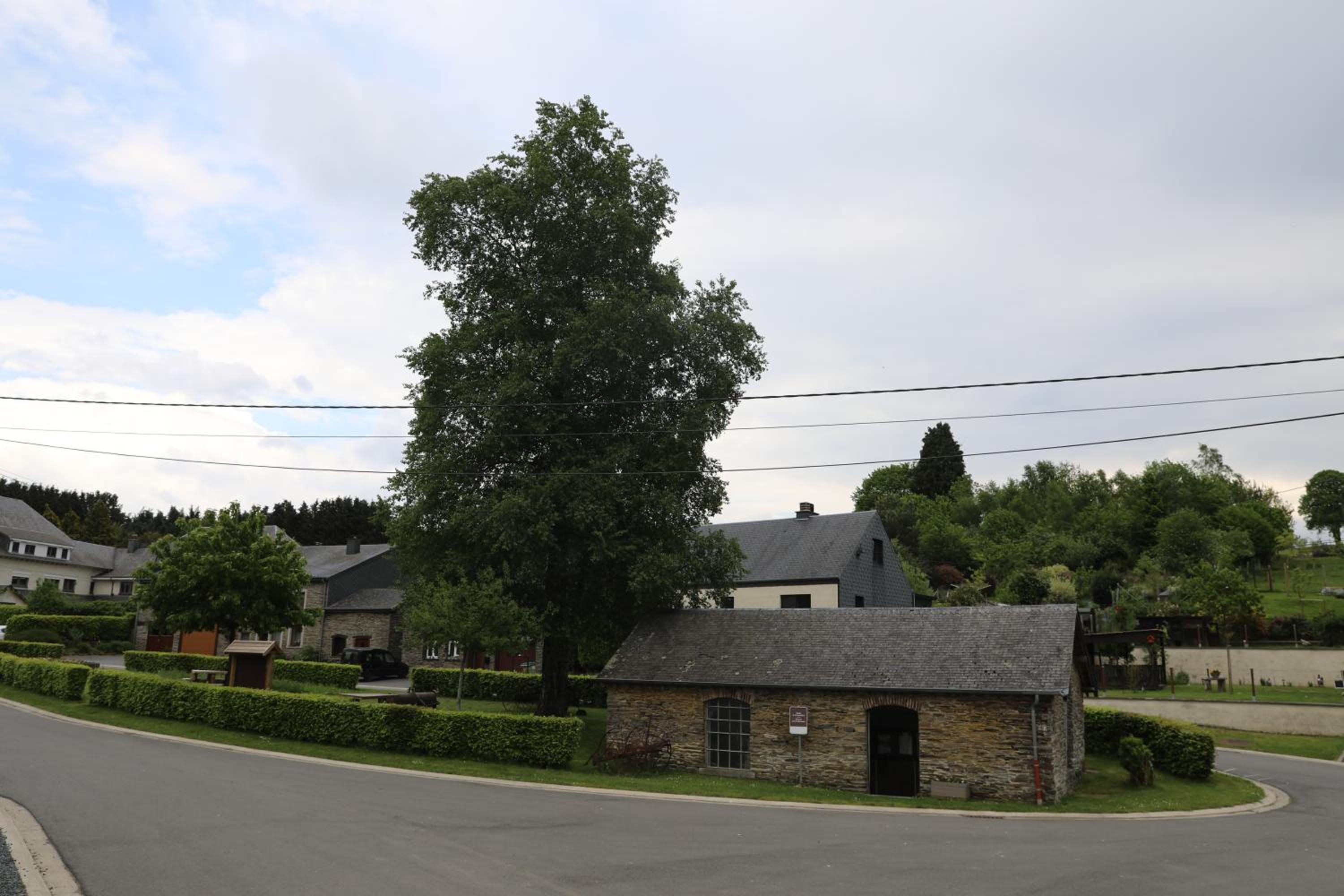 Gîte de la Lavandière à Ucimont view 5