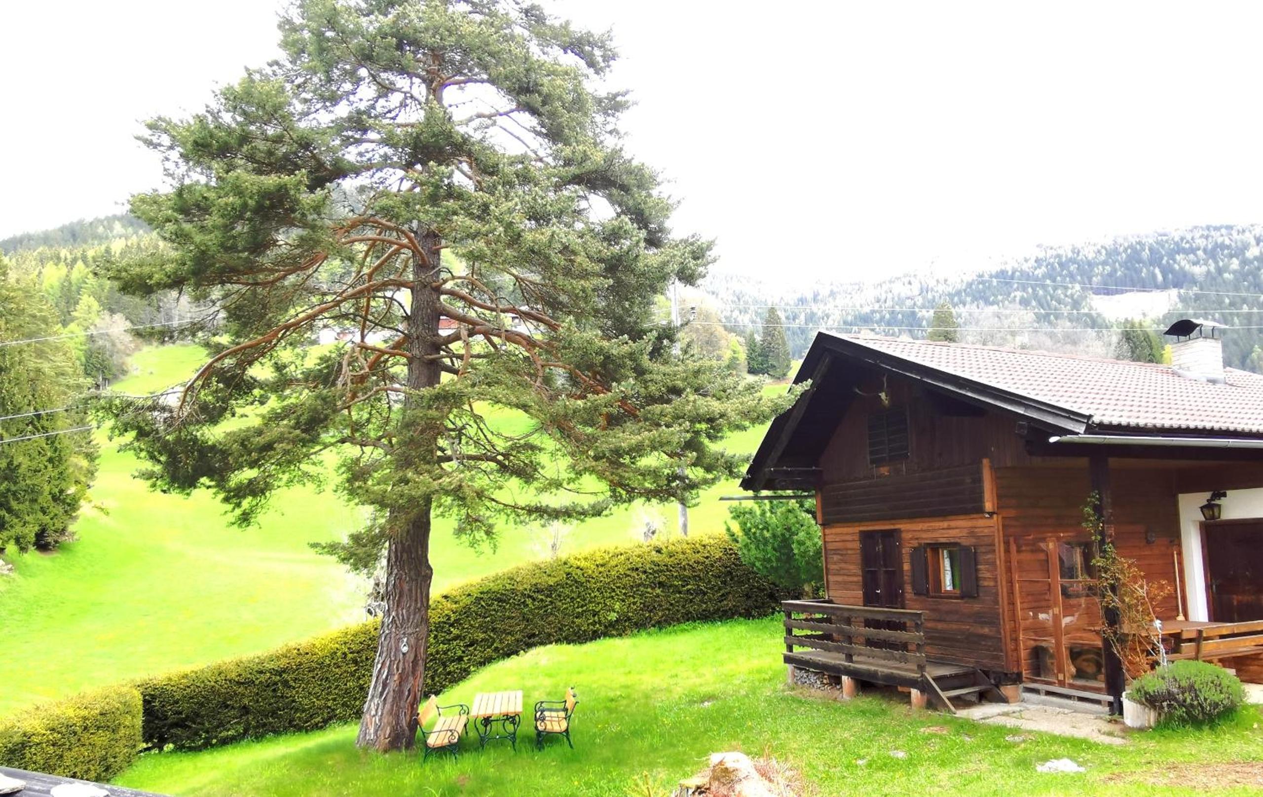 Waldheimat view 5