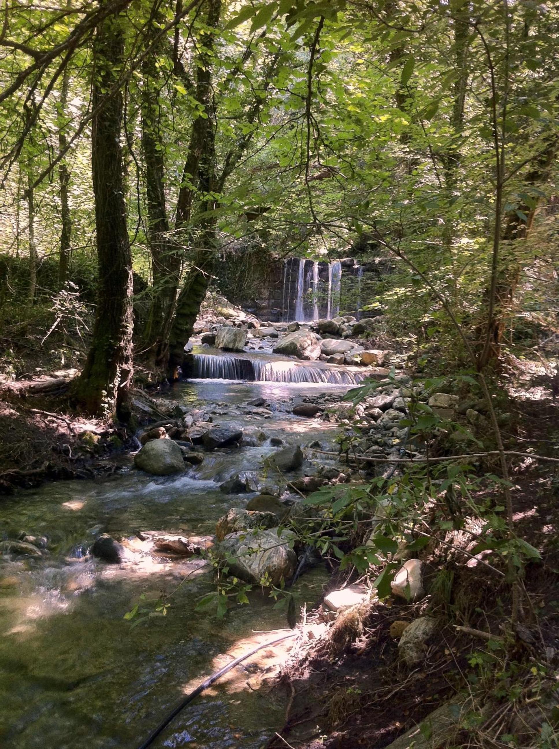 Le Case Della Buca Agriturismo ed Agricampeggio