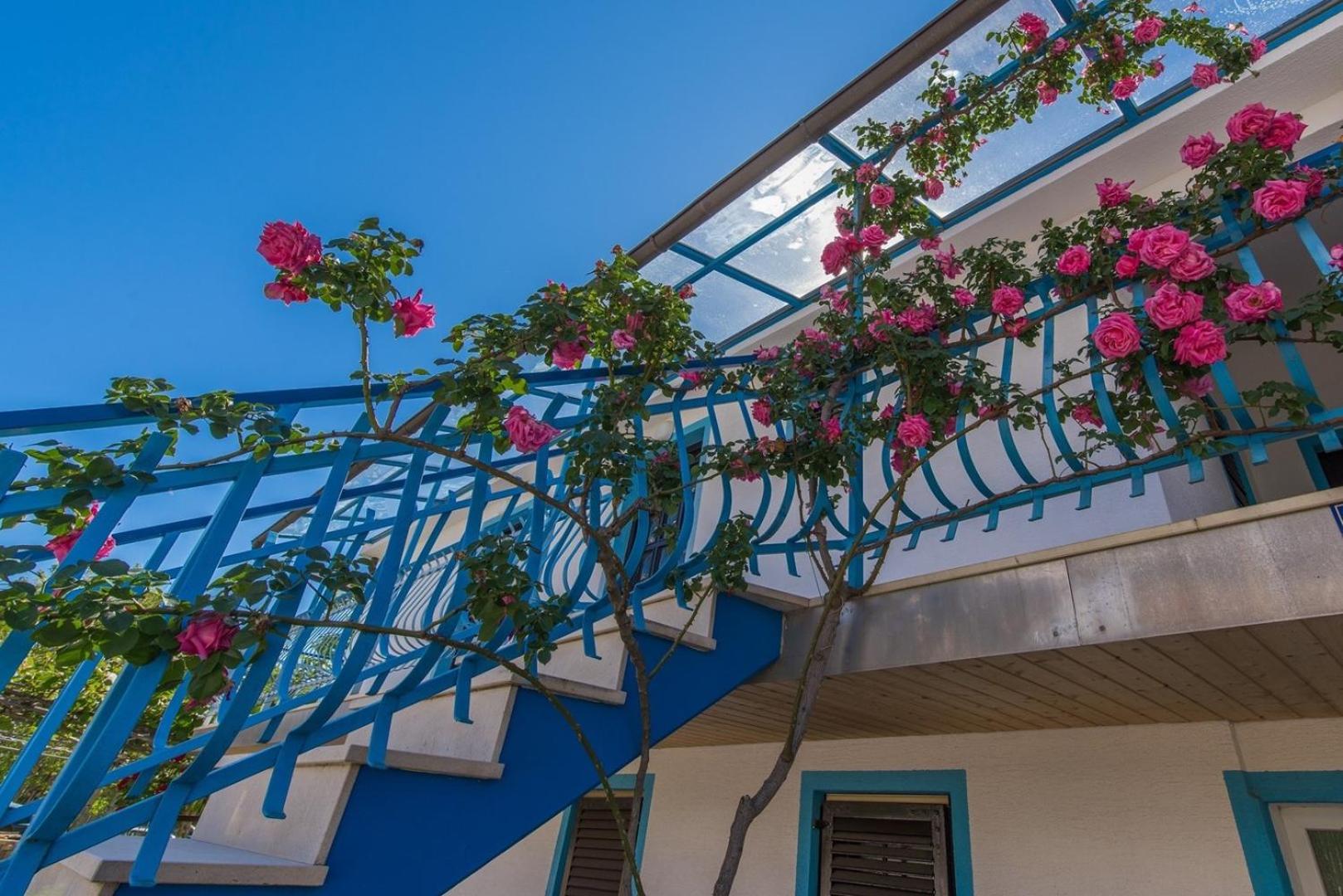 Apartments Kiki Spada - Property Image 17