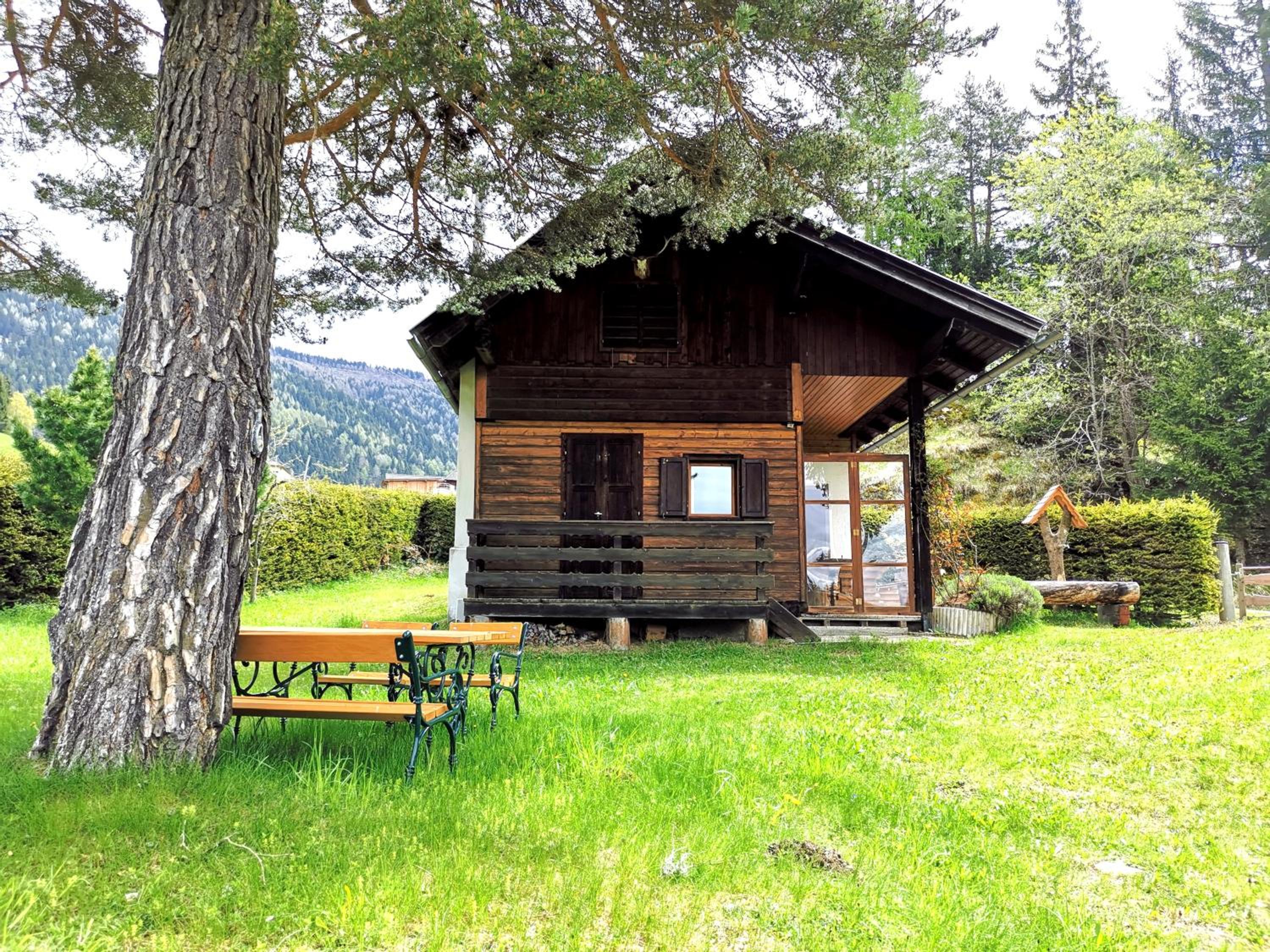 Photo 6