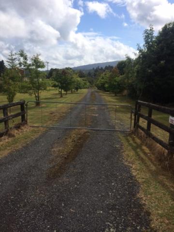 Tekoa Lodge Raurimu view 3