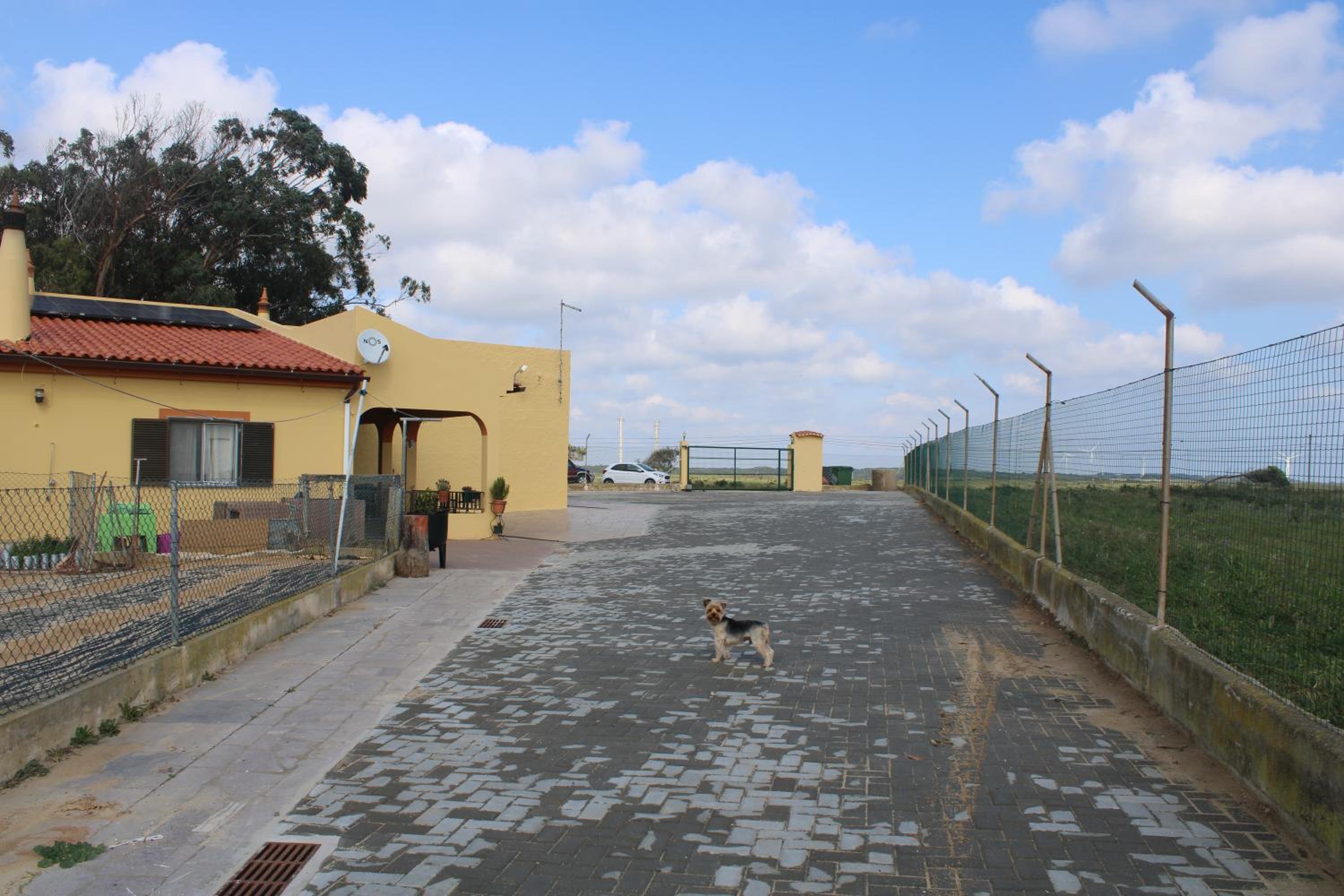 Abrigo das Nortadas, photo 14