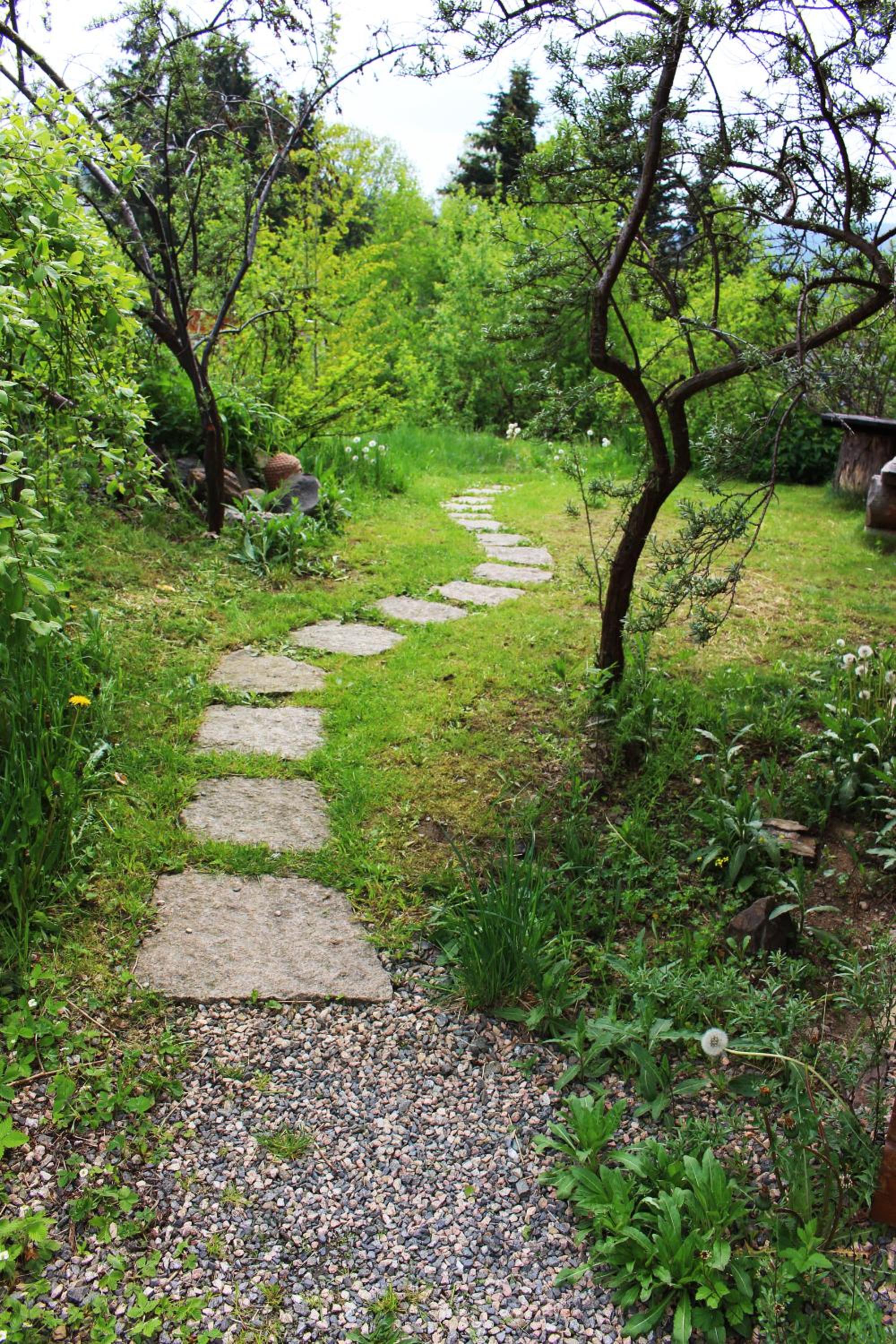 Photo 27