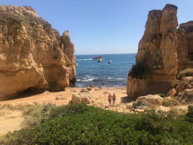 sol nascente view 4