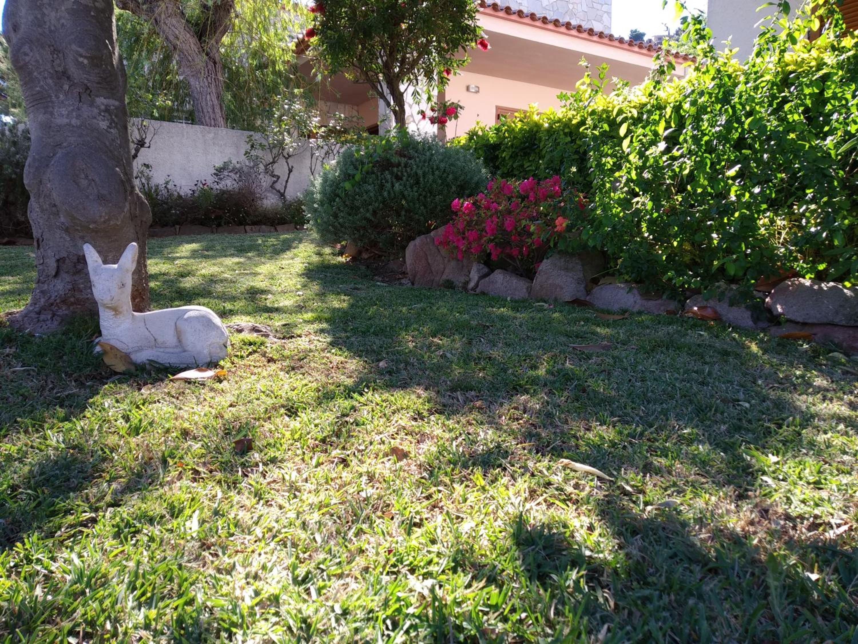 Photo 37