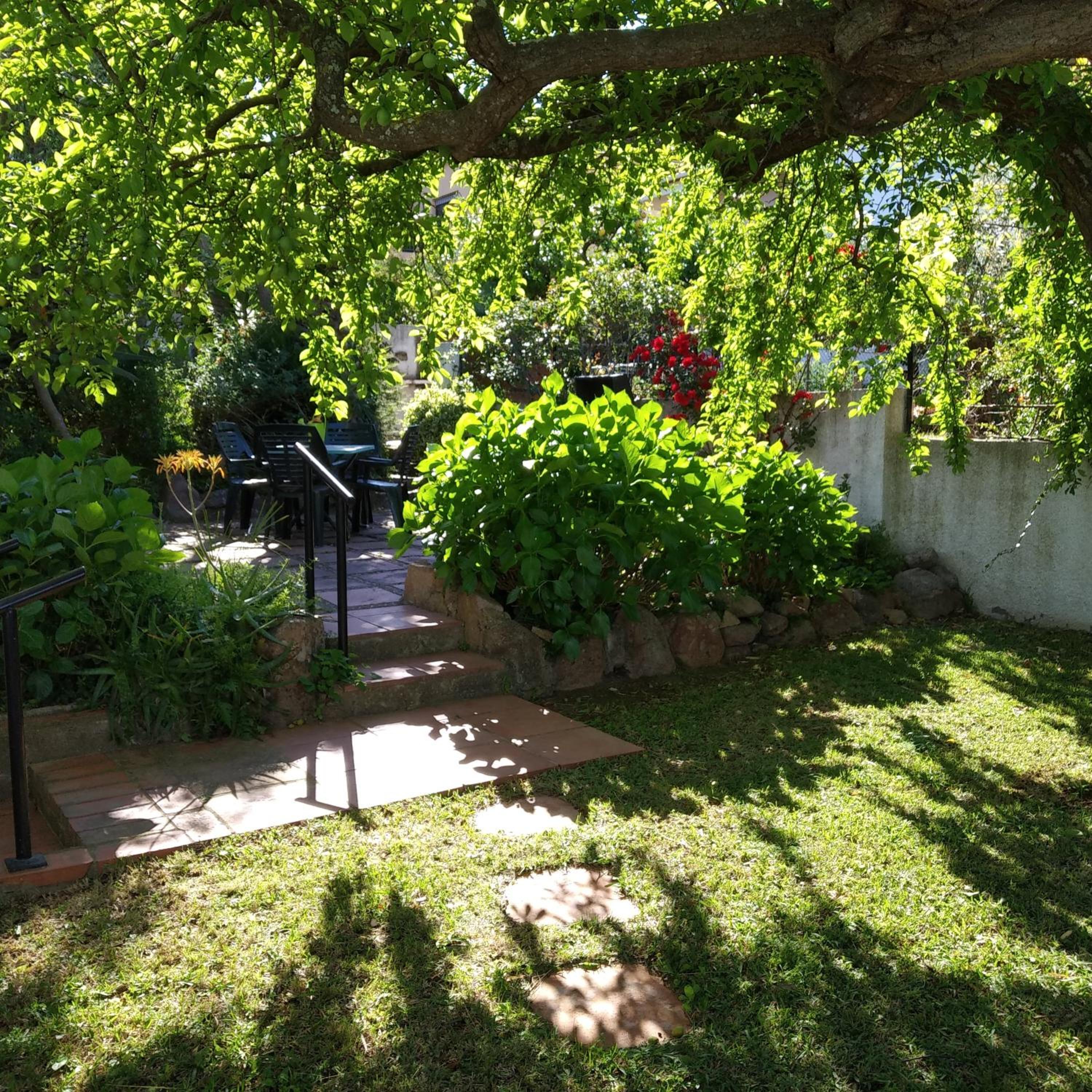 Photo 46