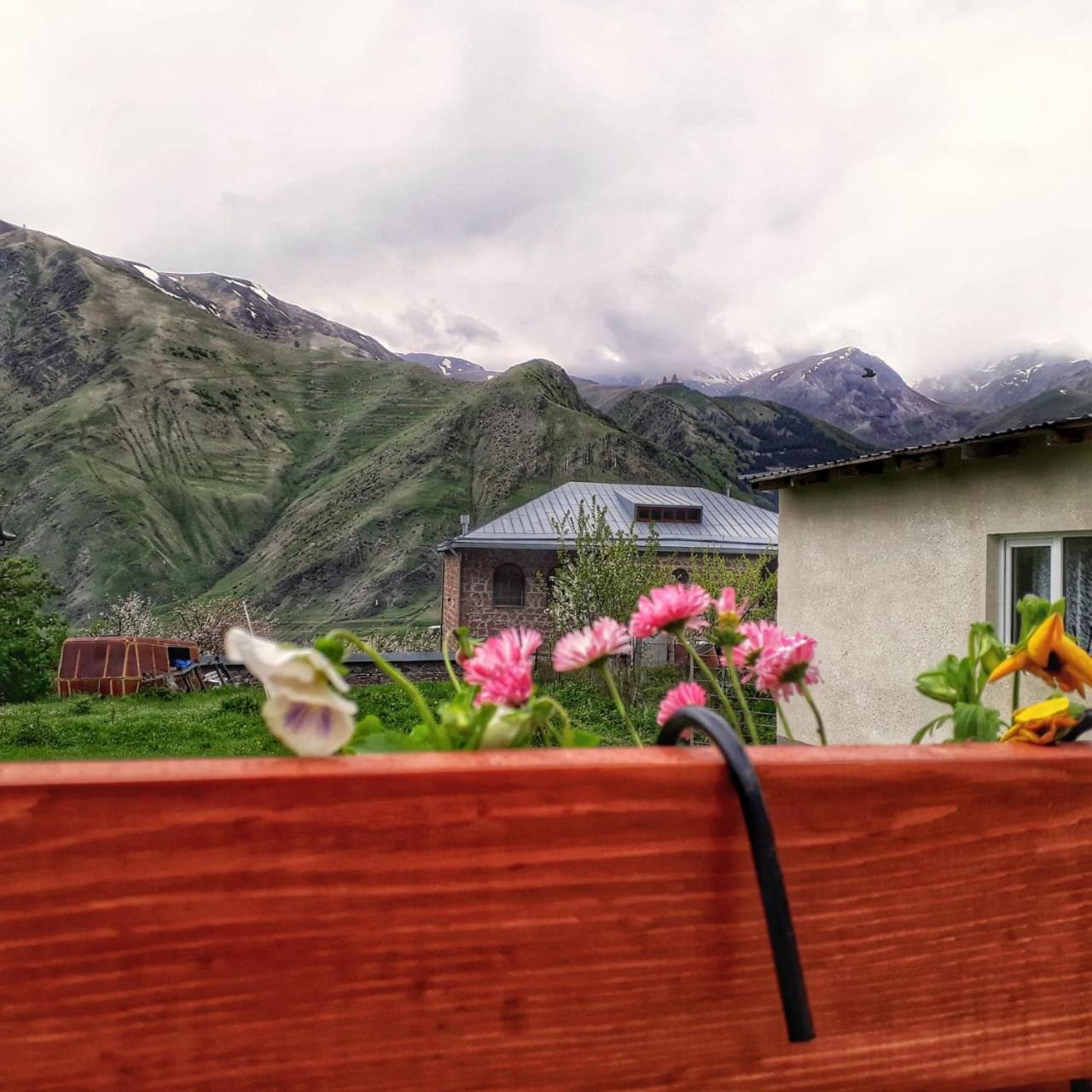 Guest House Elguja Qushashvili — photo 40