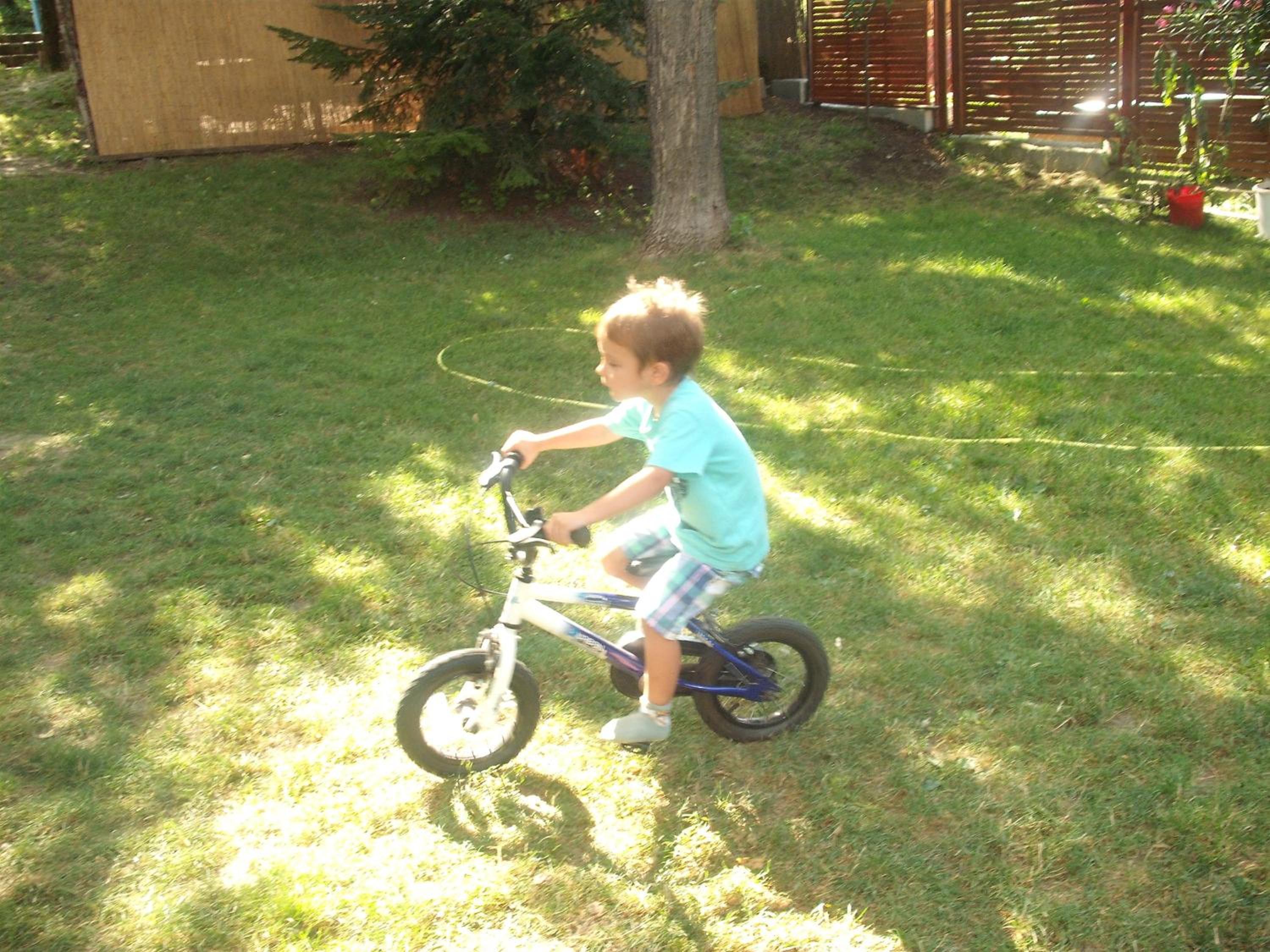 Photo 15
