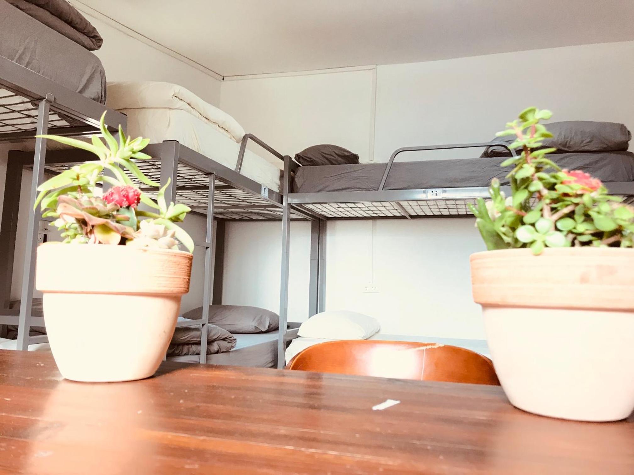 Al Yakhour Hostel