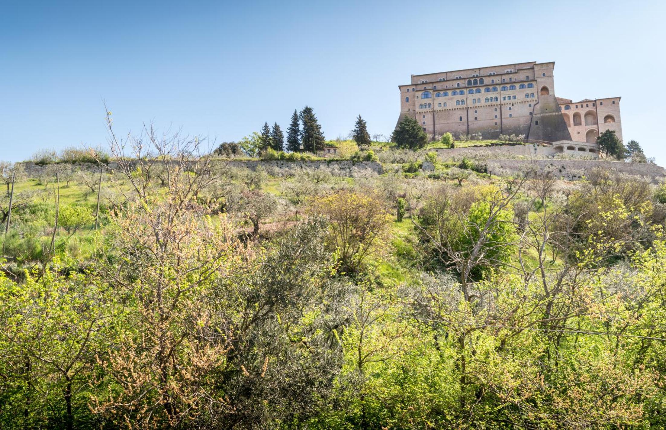 La Piaggia