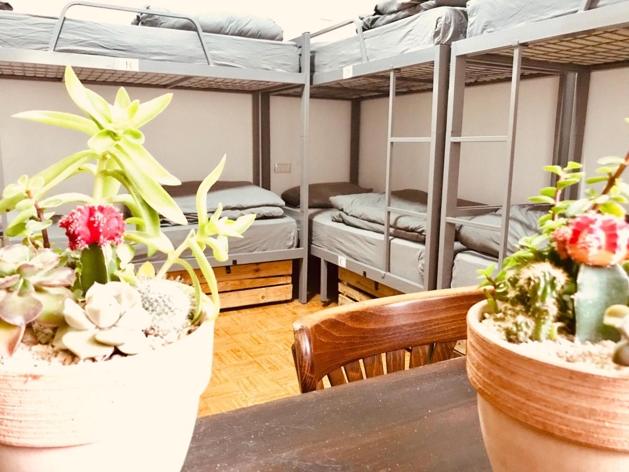 Al Yakhour Hostel