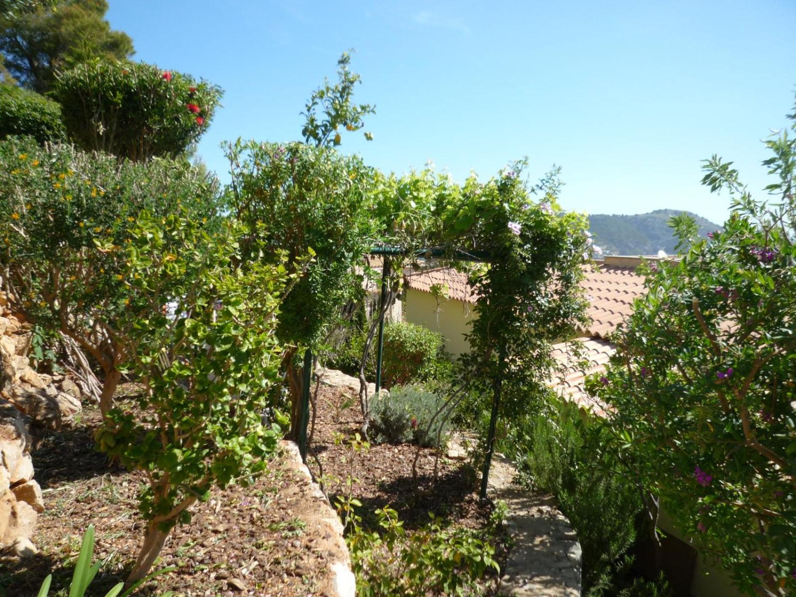 Photo 20