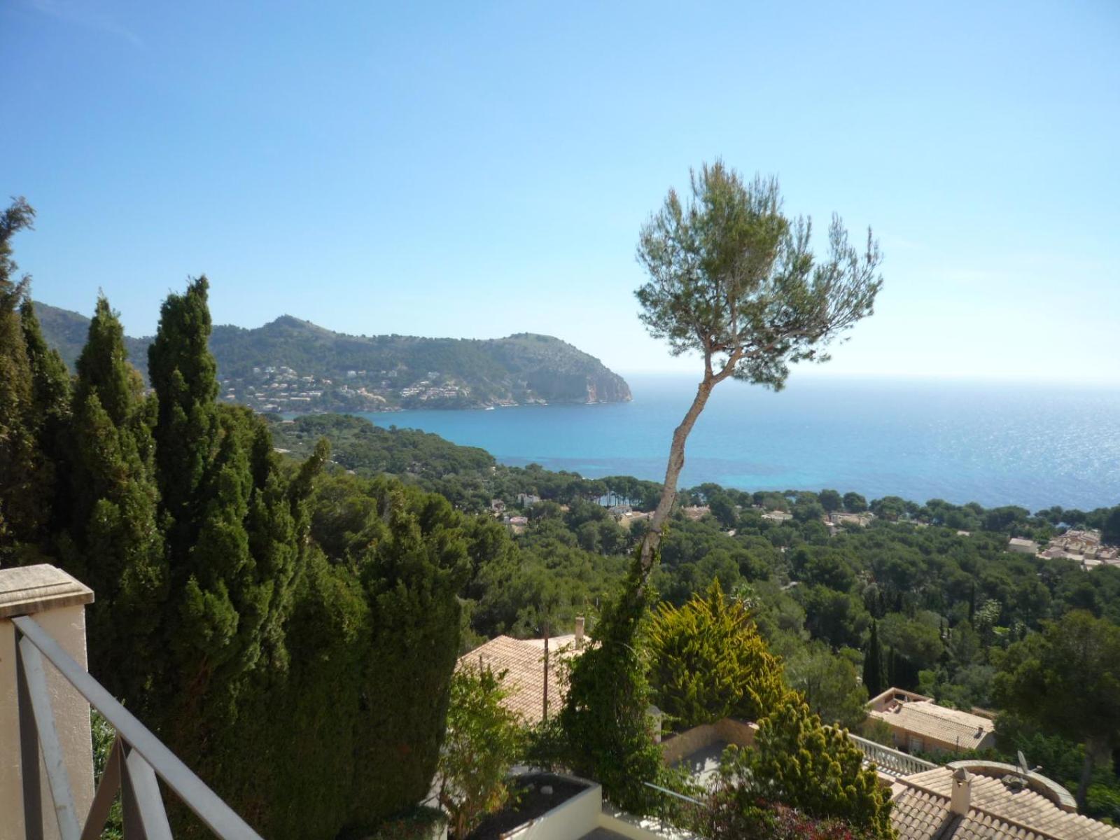 Traumvilla Encina view 3