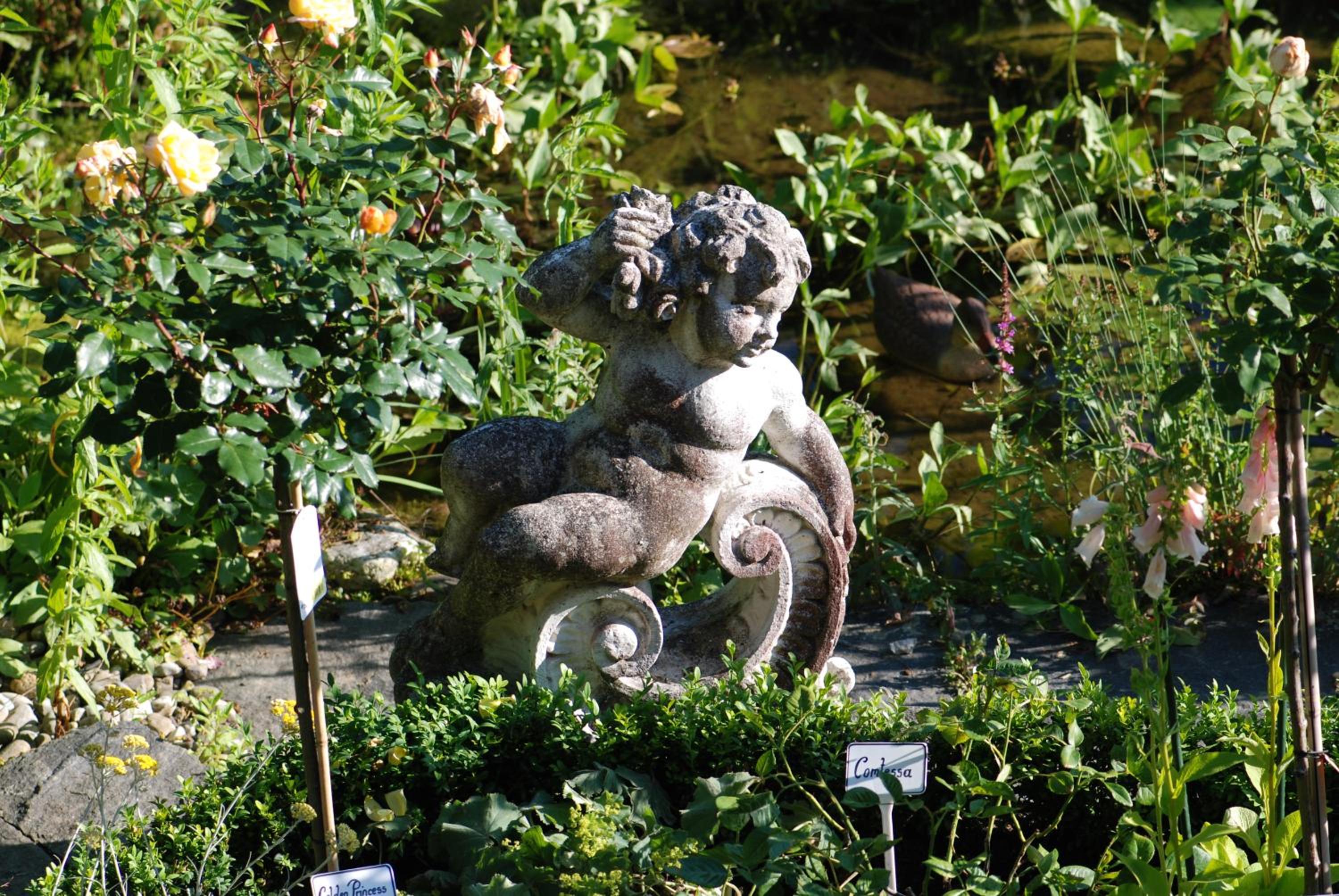Bed and Breakfast Im Röseligarten