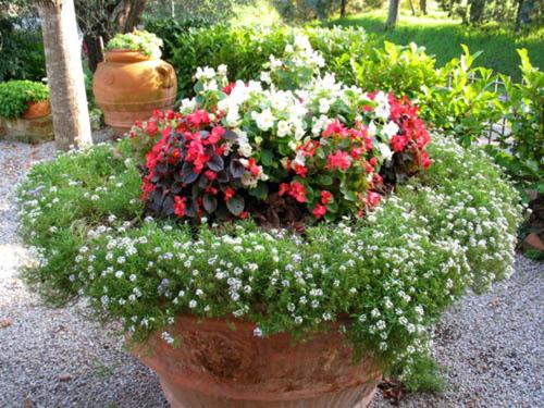 B&B Le Logge Di Sopra