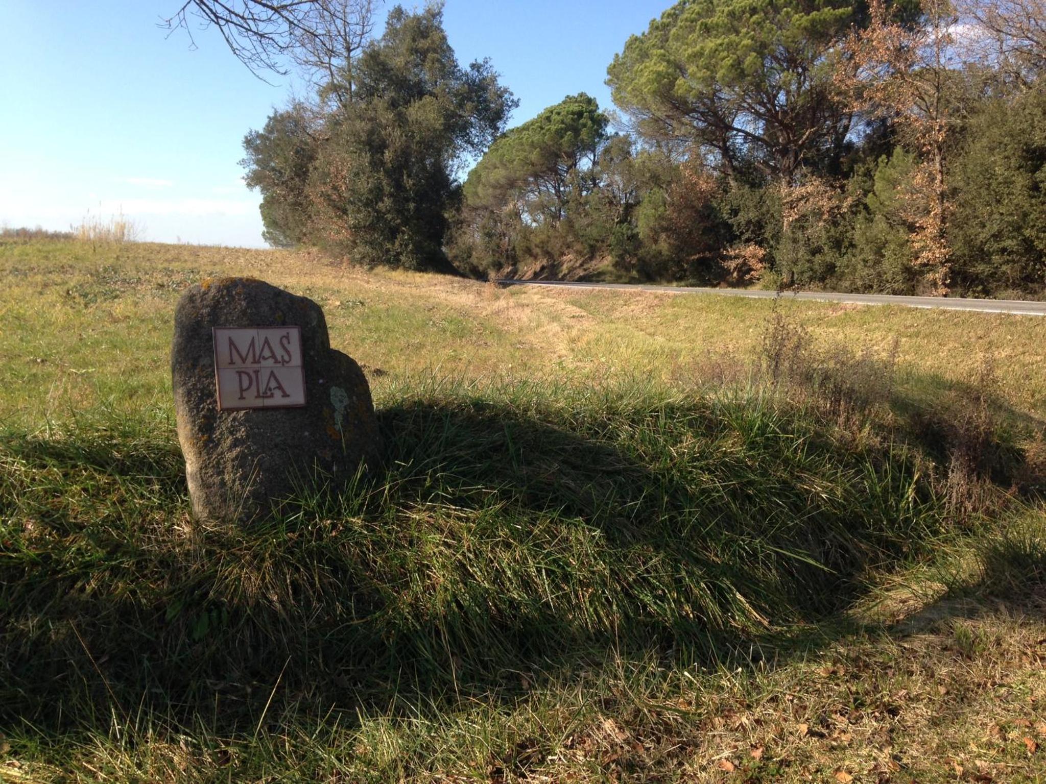 Photo 45