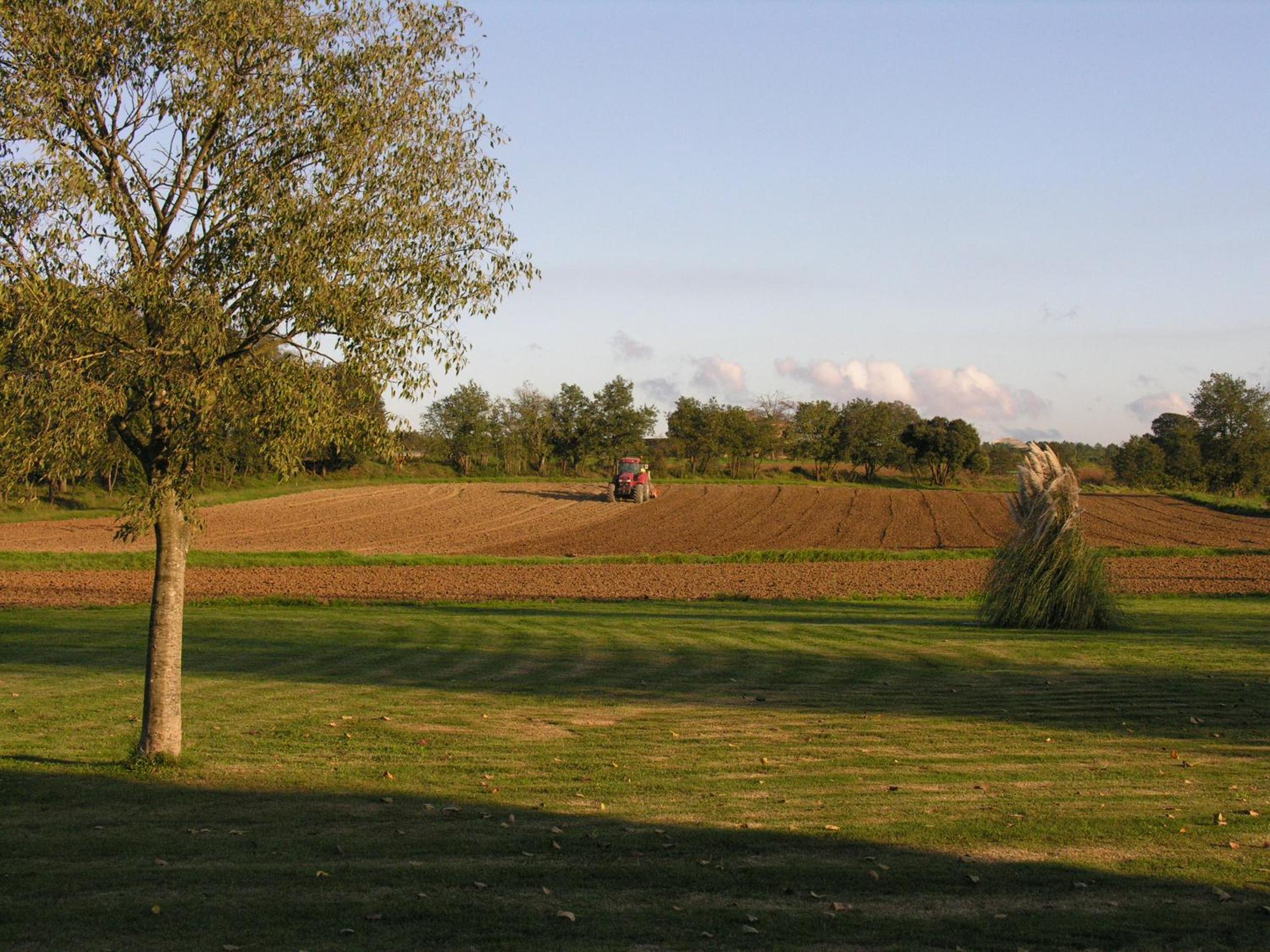 Photo 41