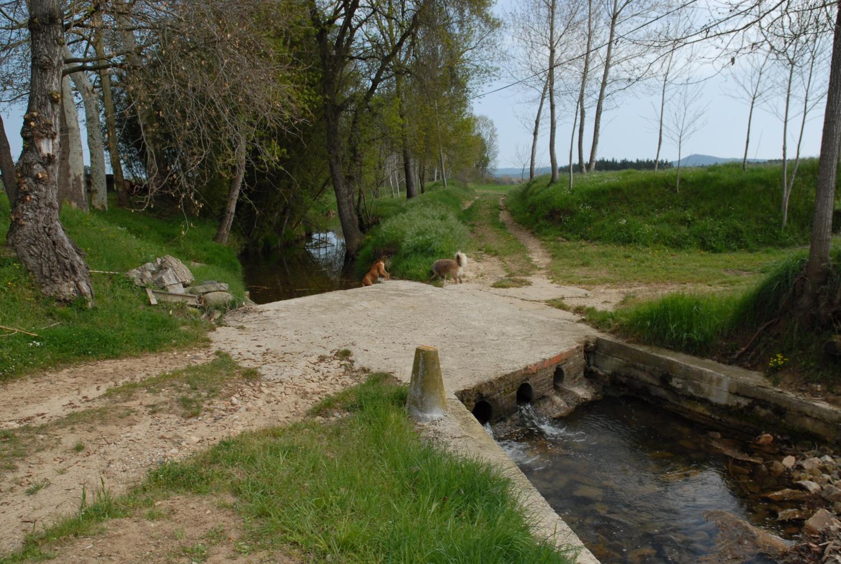 Photo 44