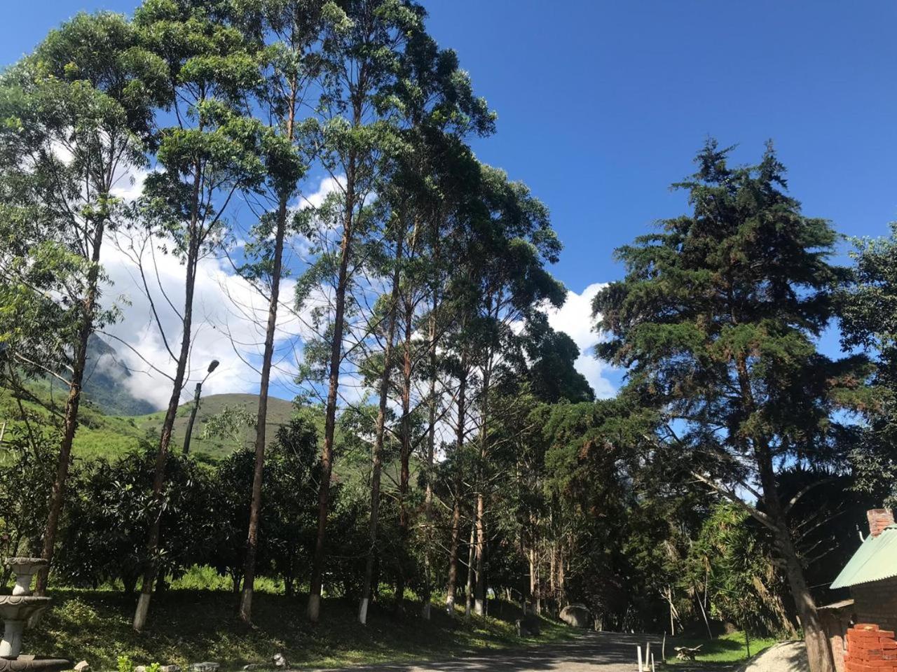 Hostería La Eterna Primavera