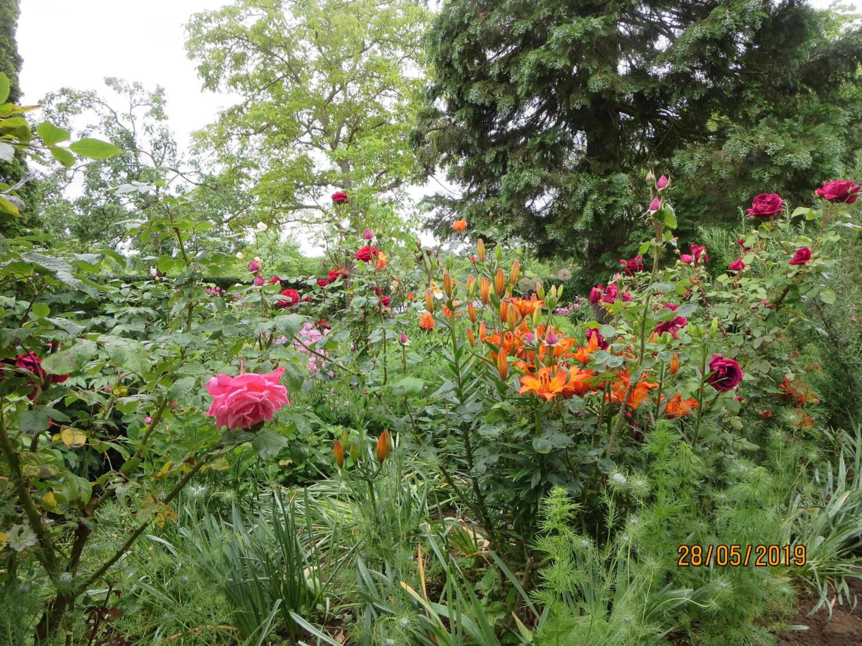 Photo 10