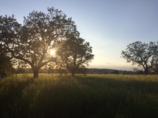 Masseria Sant'Elia view 3