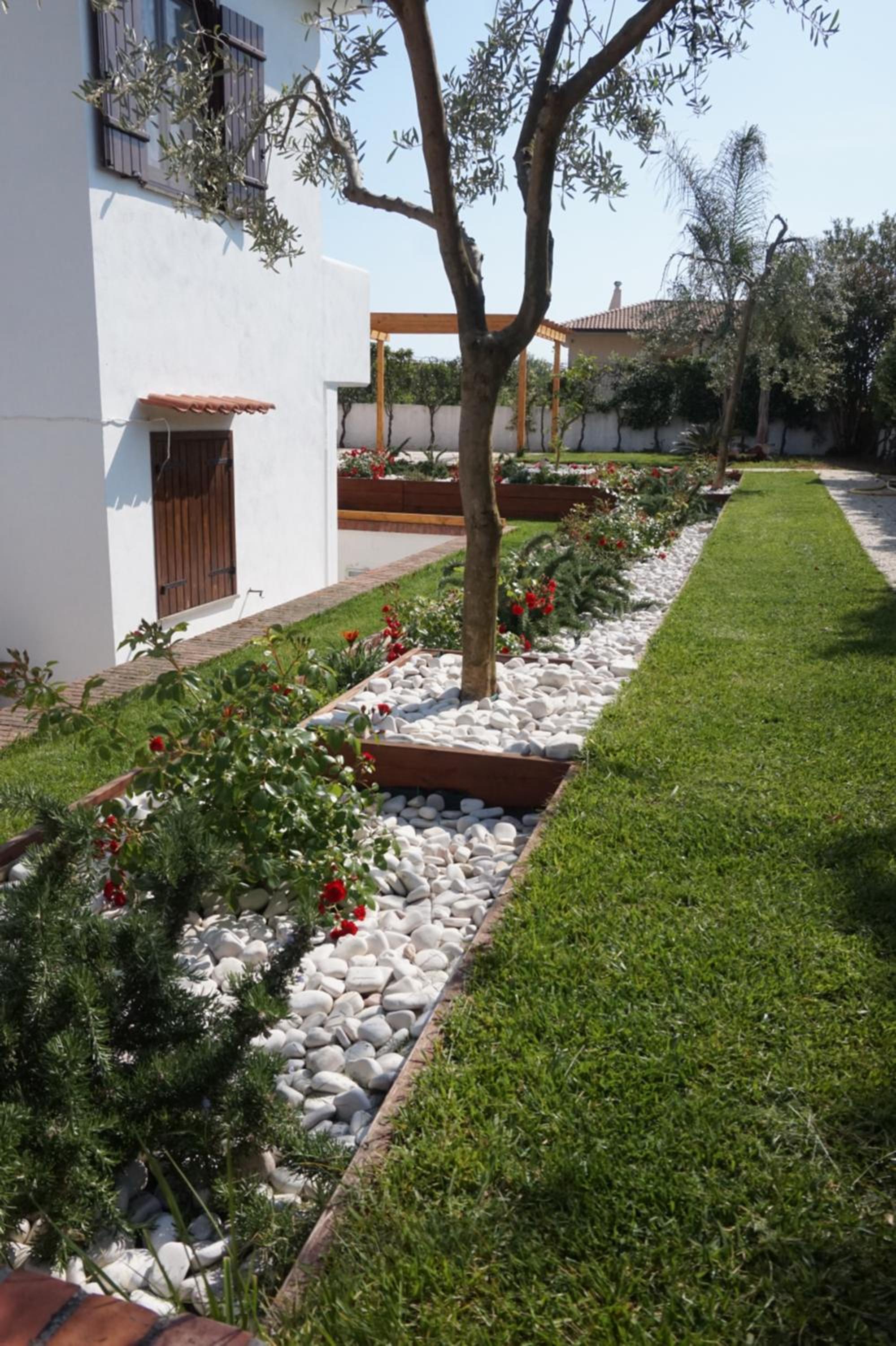 Photo 31