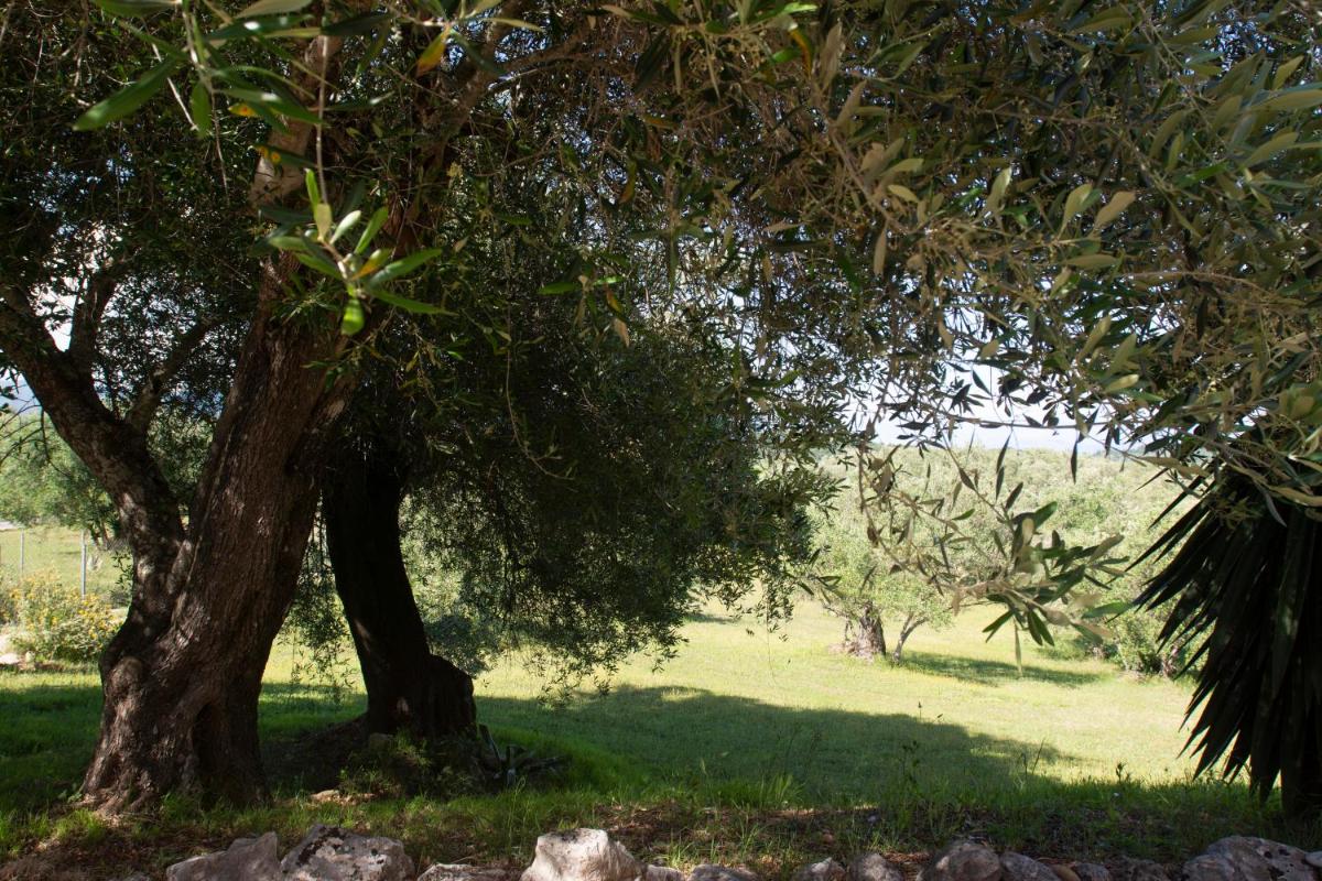 Photo 46